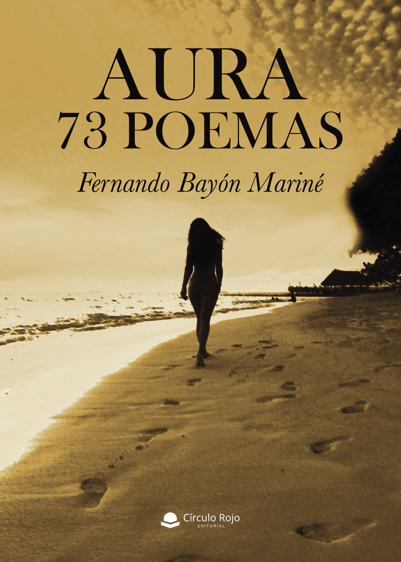 Portada de Aura 73 poemas