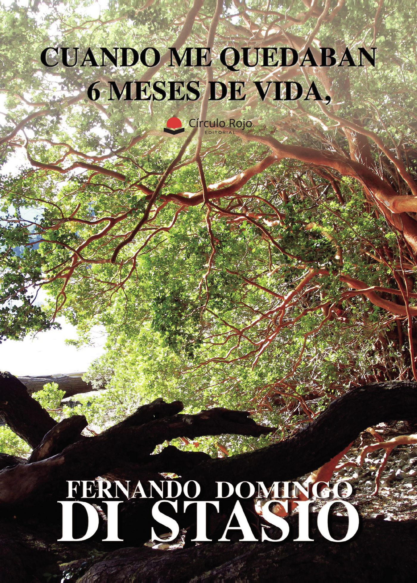 Portada de Cuando me quedaban 6 meses de vida