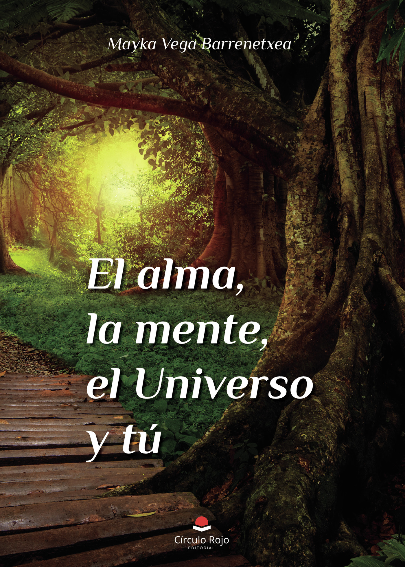 Portada de El alma, la mente, el universo y tú