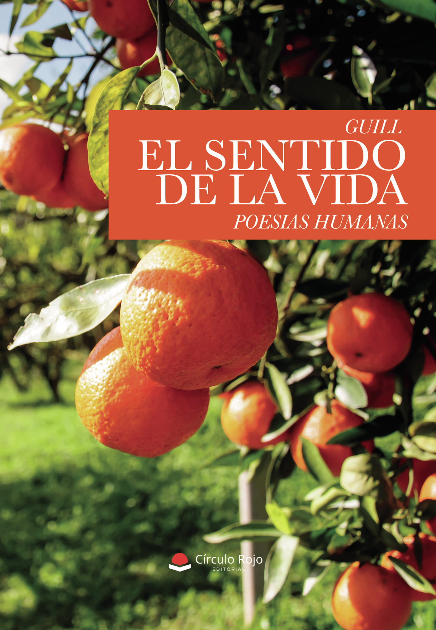 Portada de El sentido de la vida · GUILL
