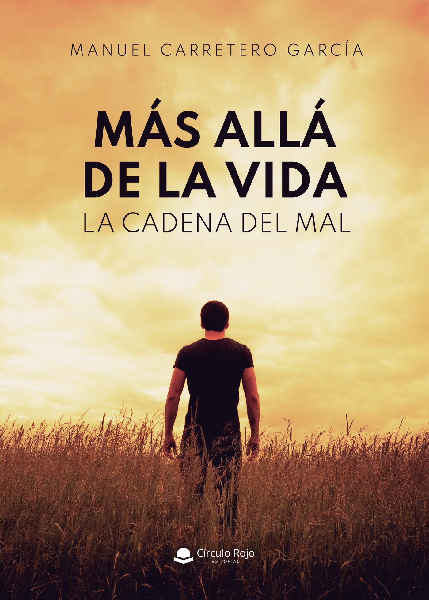 Portada de Más allá de la vida