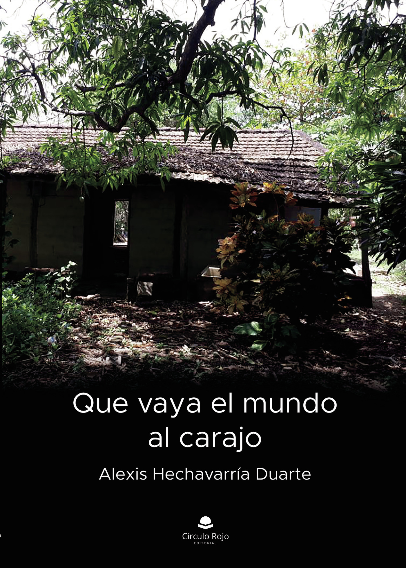 Portada de Que vaya el mundo al carajo · Alexis Hechavarría Duarte