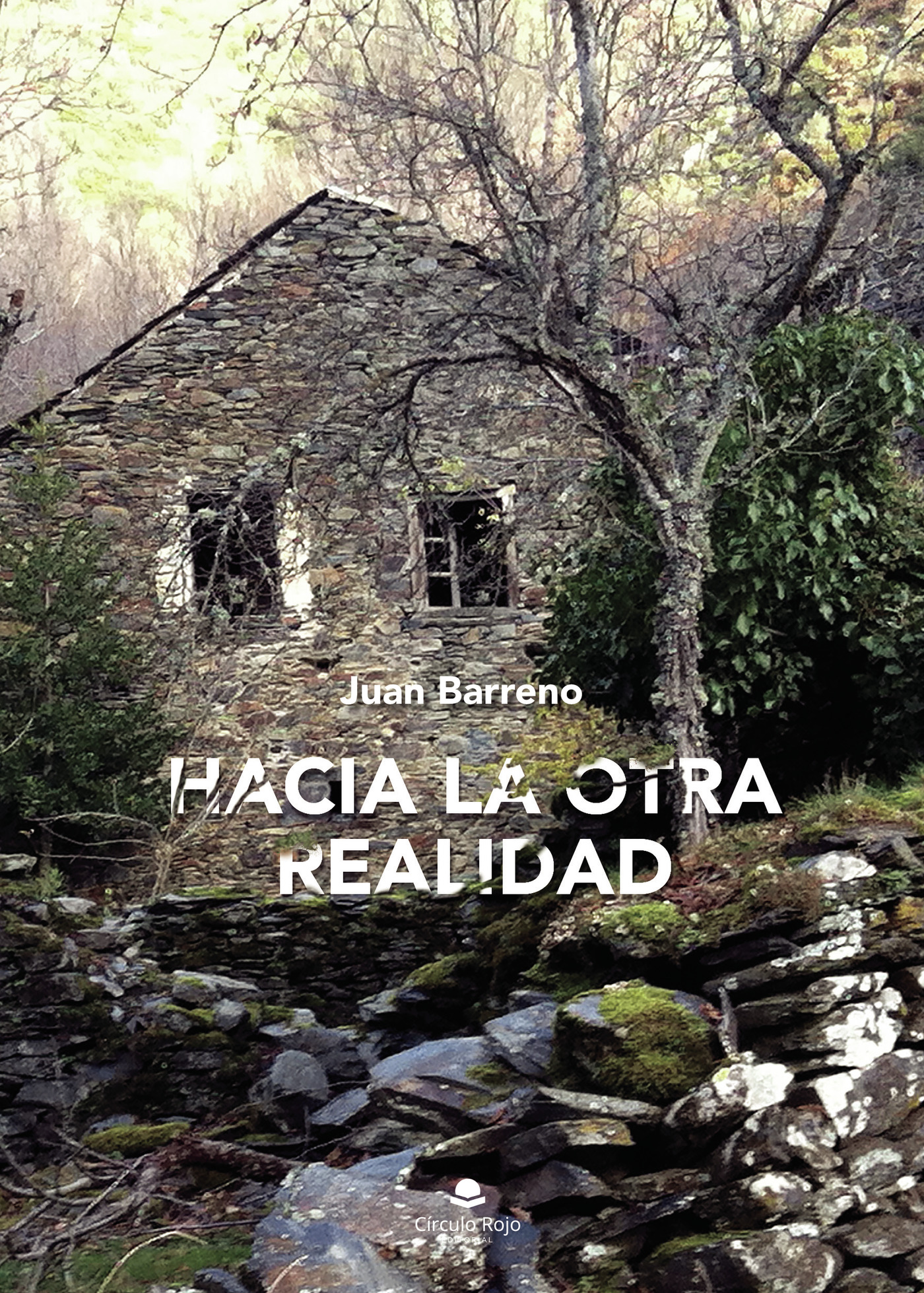 Portada de Hacía la otra realidad