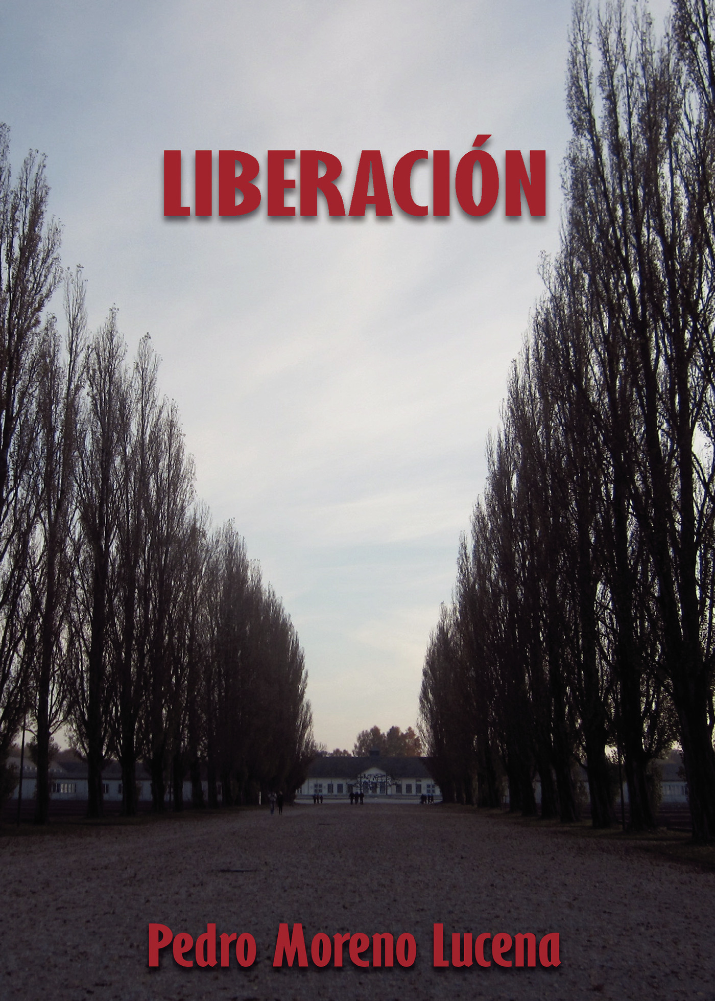 Portada de Liberación