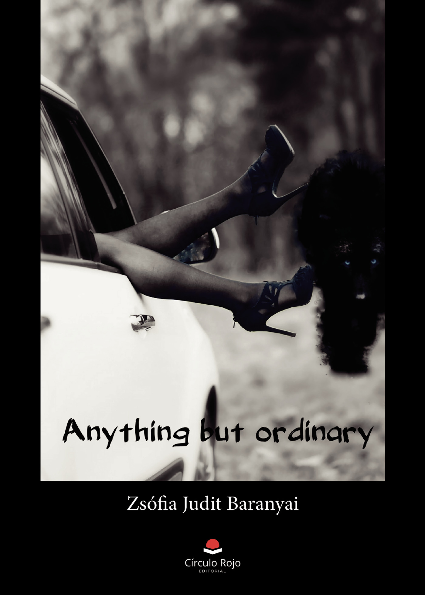 Portada de Anything but ordinary · Zsófia Judit Baranyai