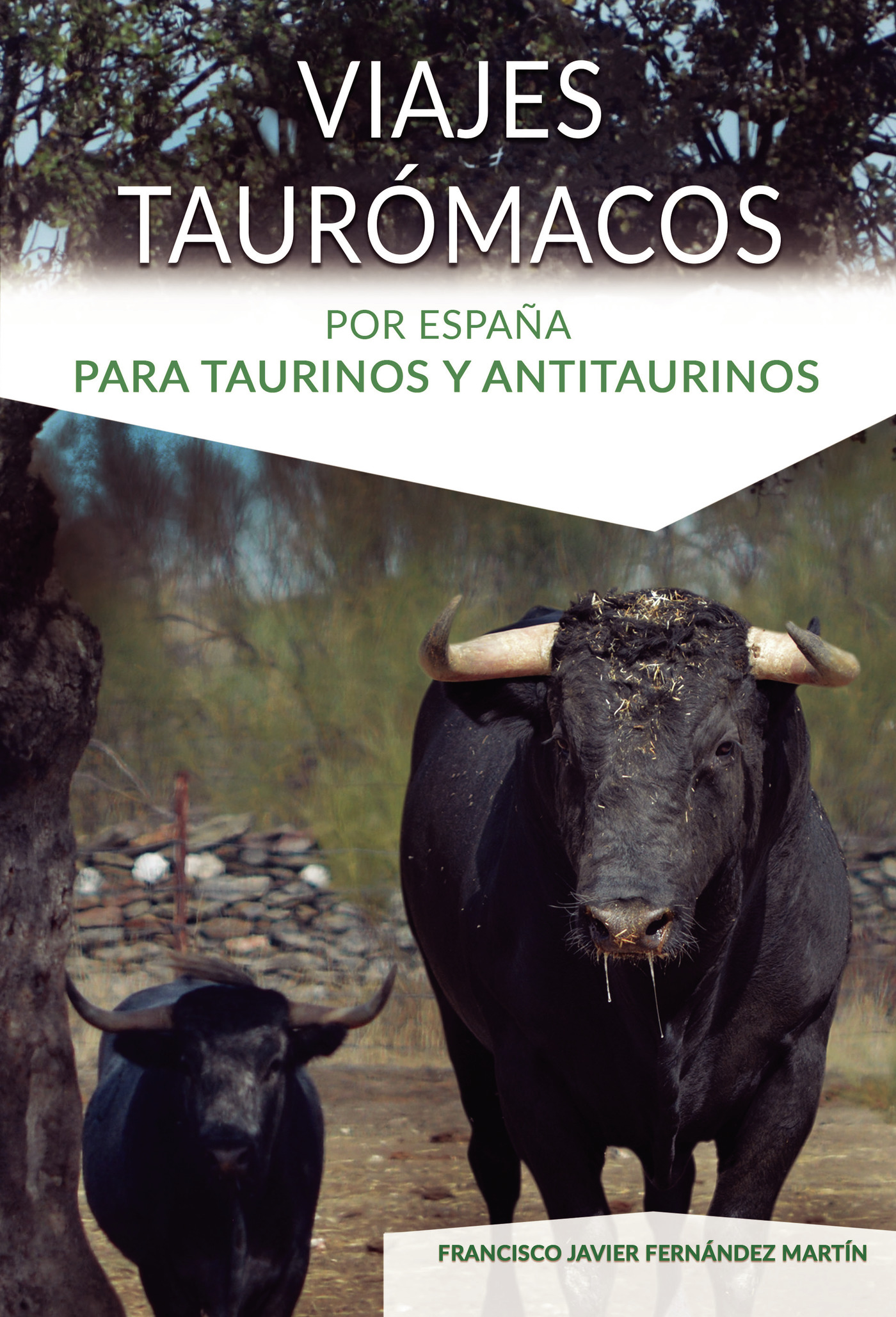 Portada de Viajes taurómacos por España