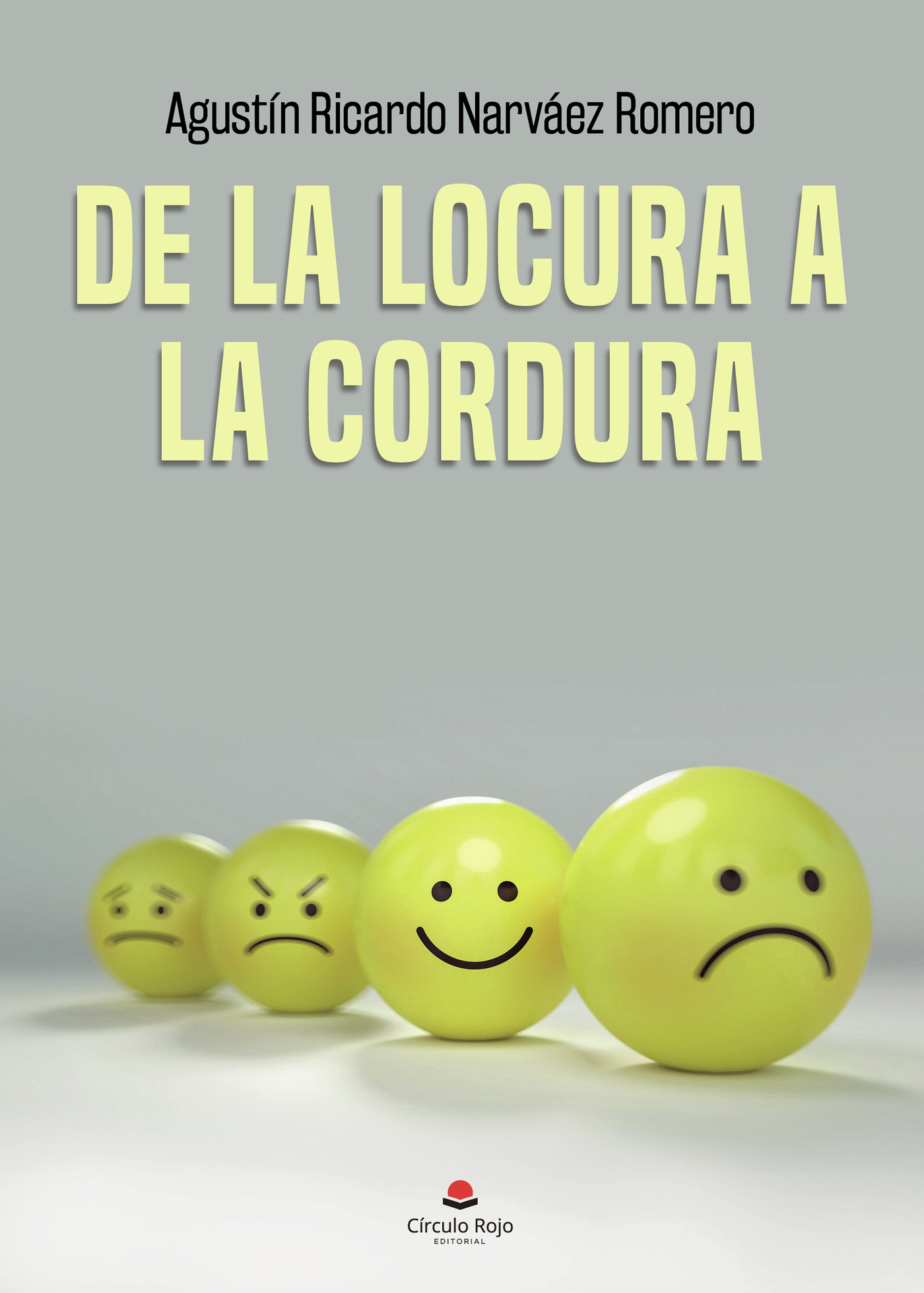 Portada de De la locura a la cordura