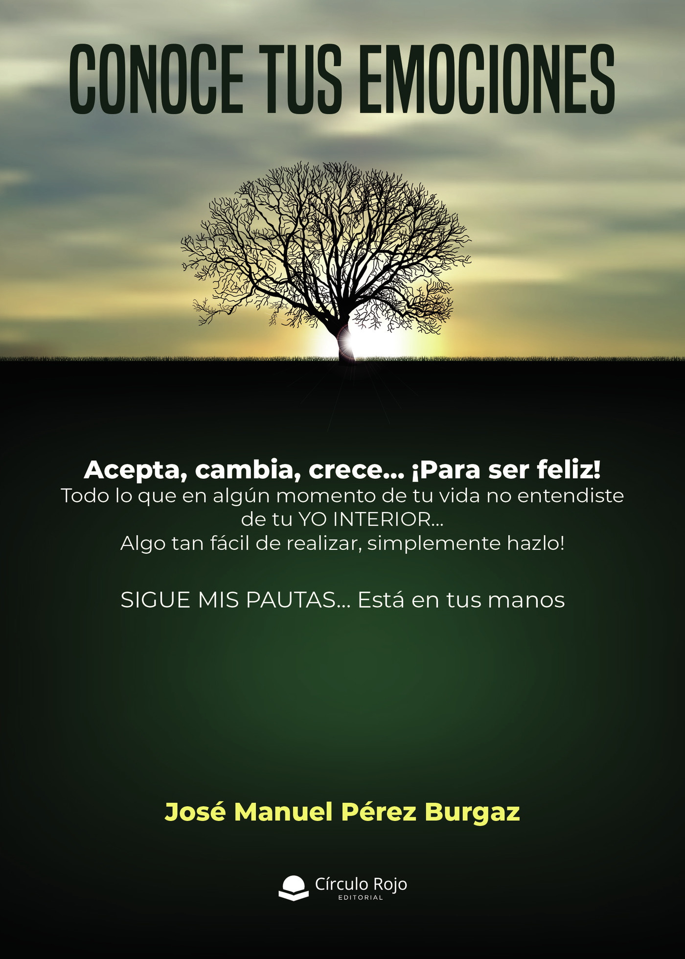 Portada de Conoce tus emociones