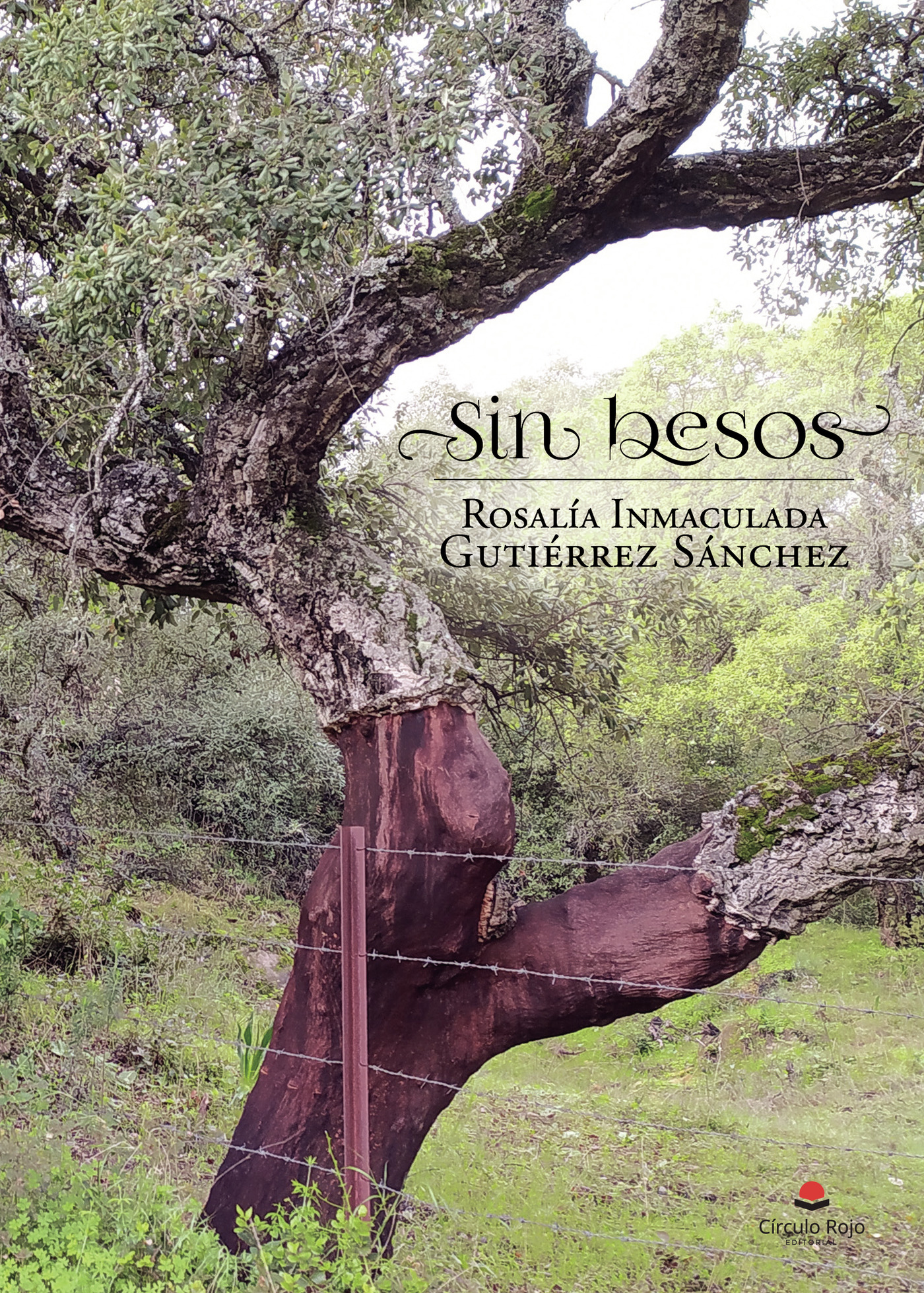 Portada de Sin besos