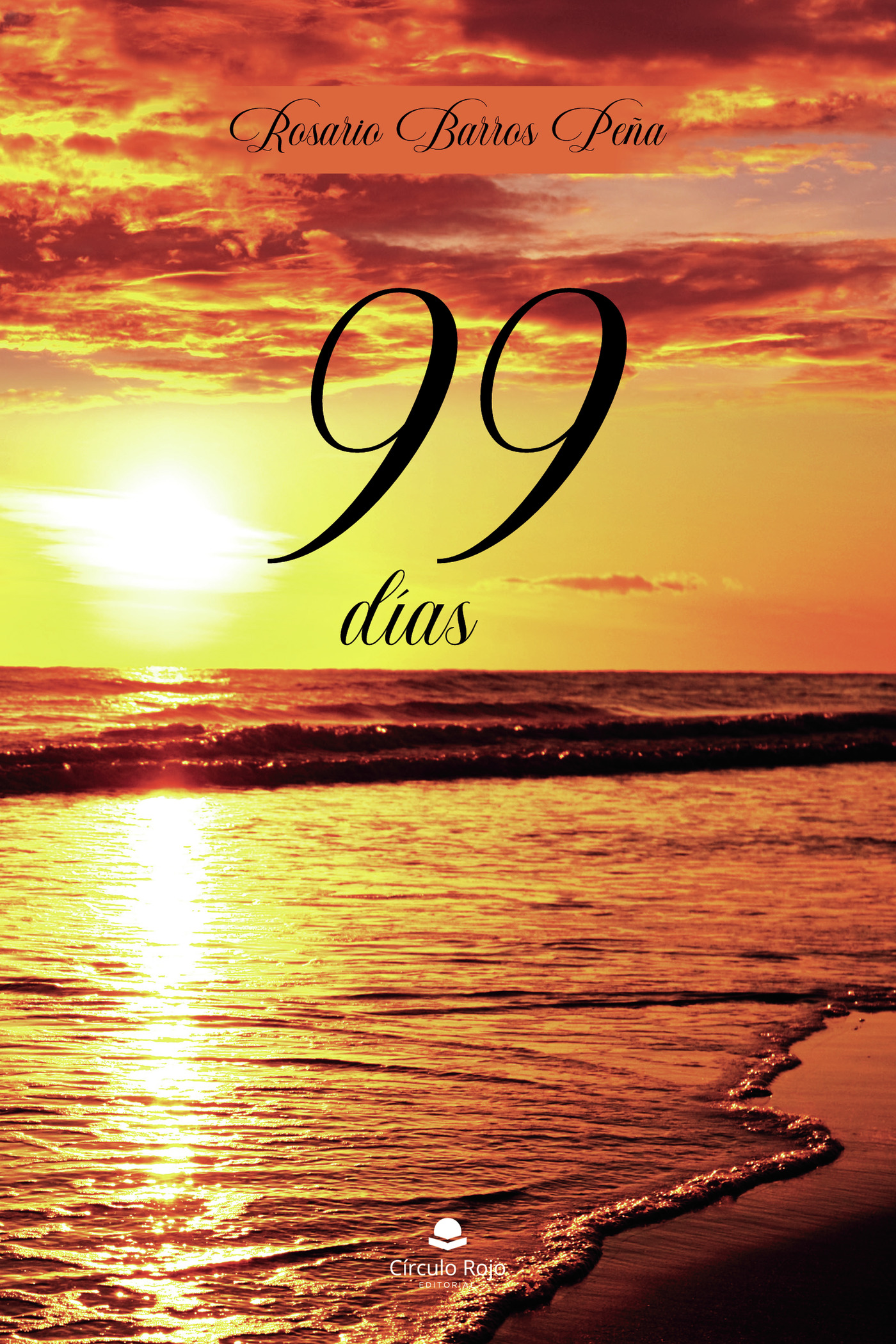 Portada de 99 días · Rosario Barros Peña