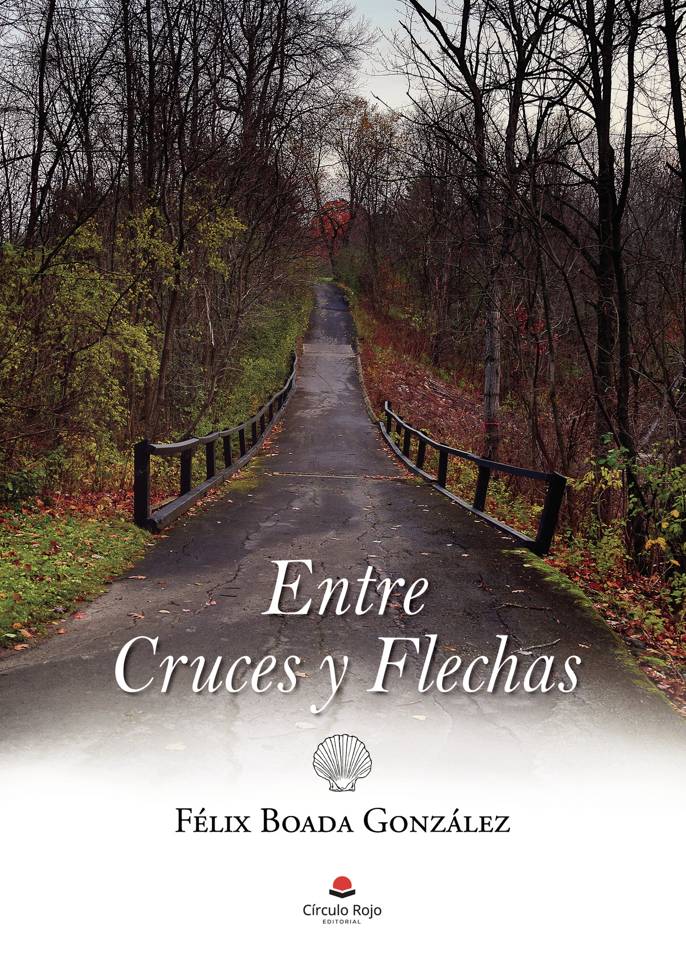 Portada de Entre cruces y flechas
