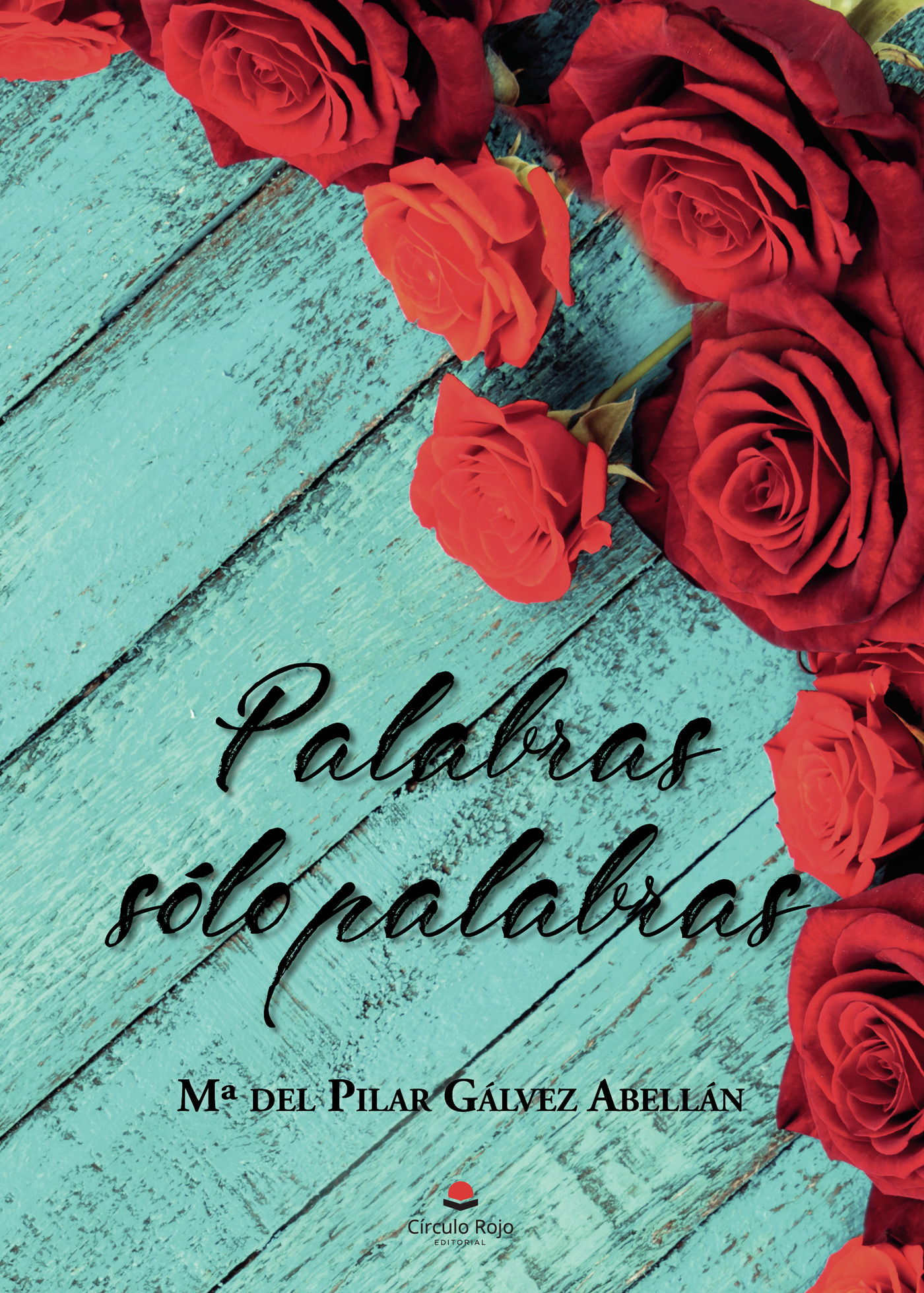 Portada de Palabras sólo palabras