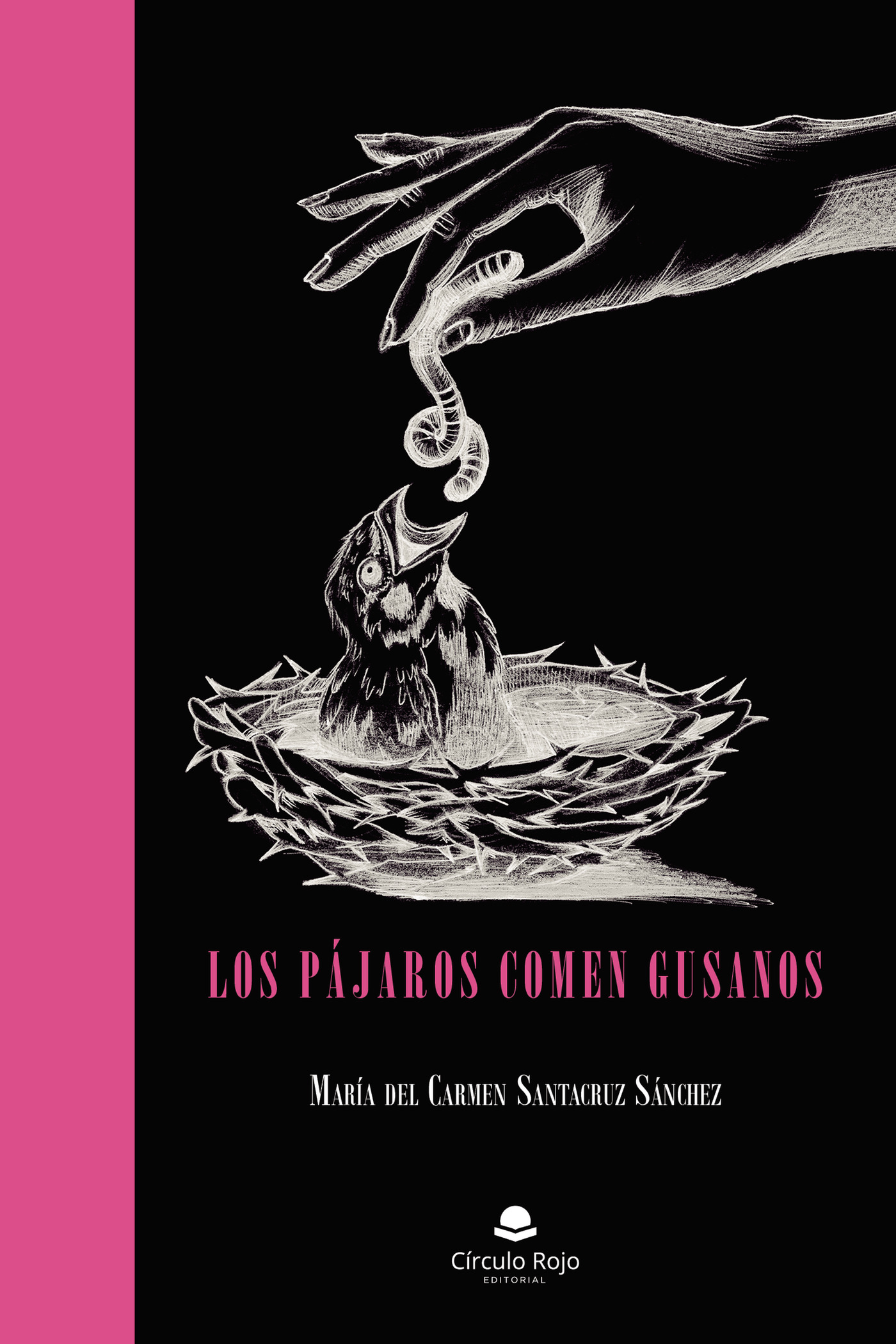 Portada de Los pájaros comen gusanos · María del Carmen Santacruz Sánchez