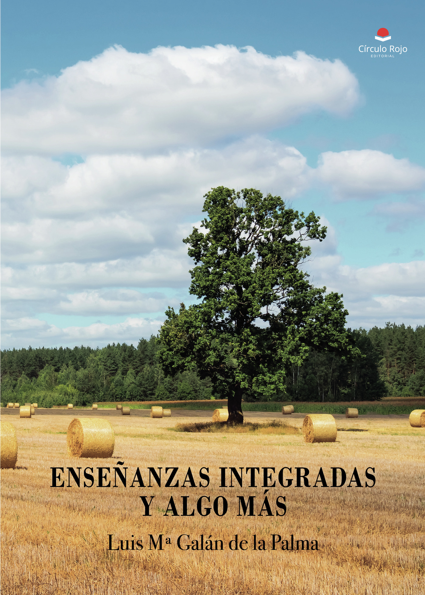 Portada de Enseñanzas integradas y algo más