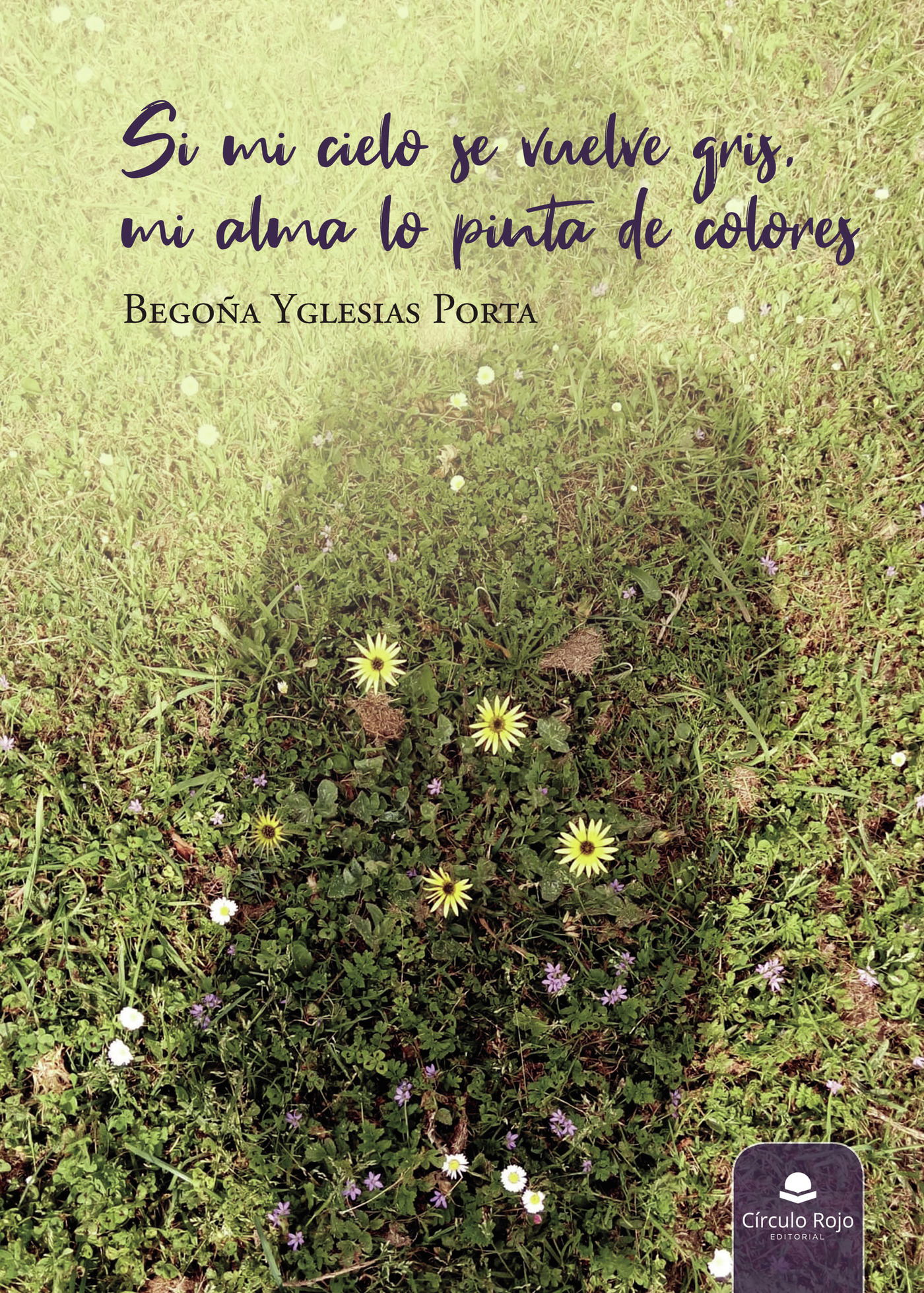Portada de Si mi cielo se vuelve gris, mi alma lo pinta de colores