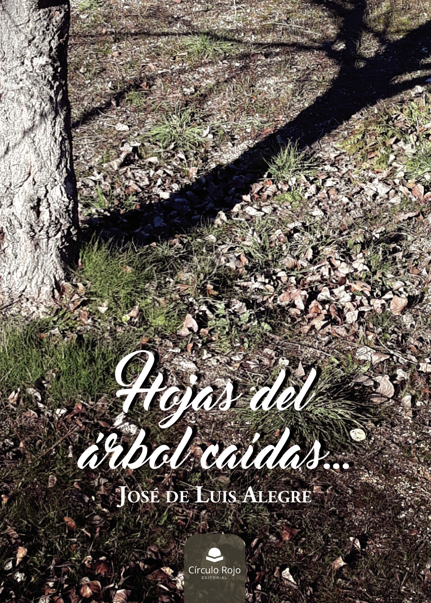 Portada de Hojas del árbol caídas