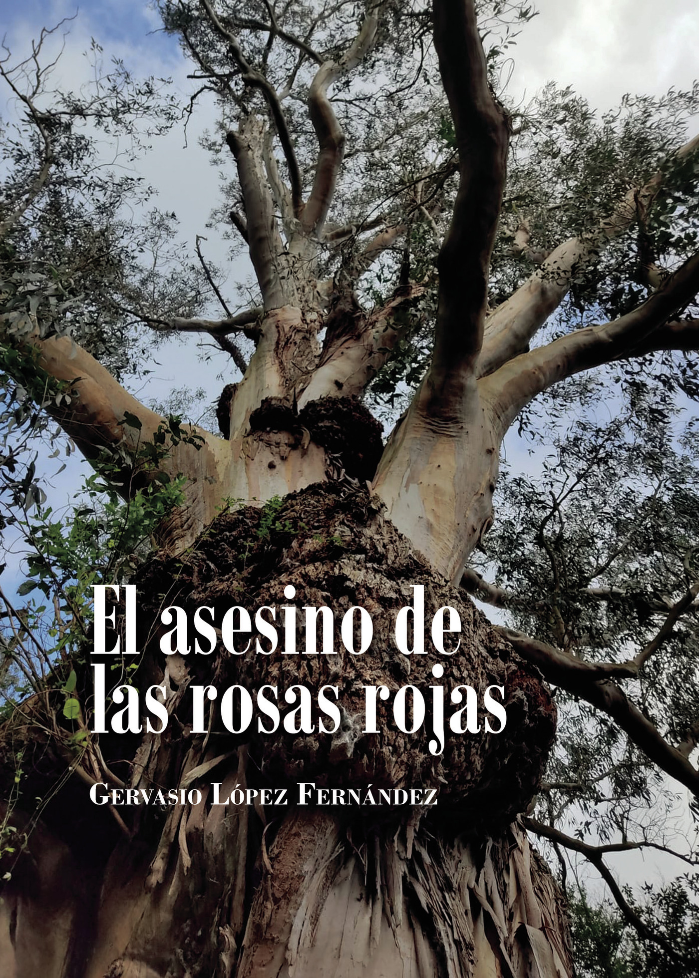Portada de El asesino de las rosas rojas