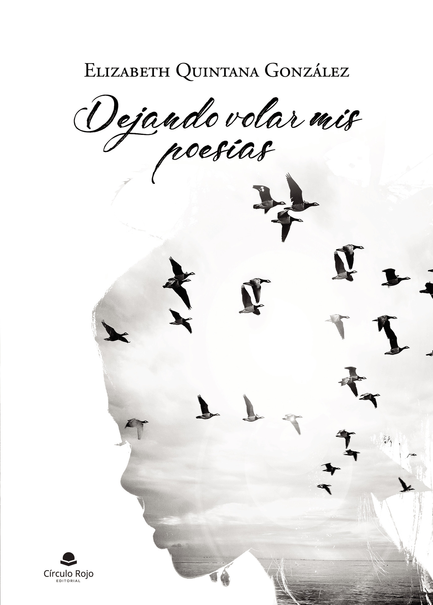 Portada de Dejando volar mis poesías