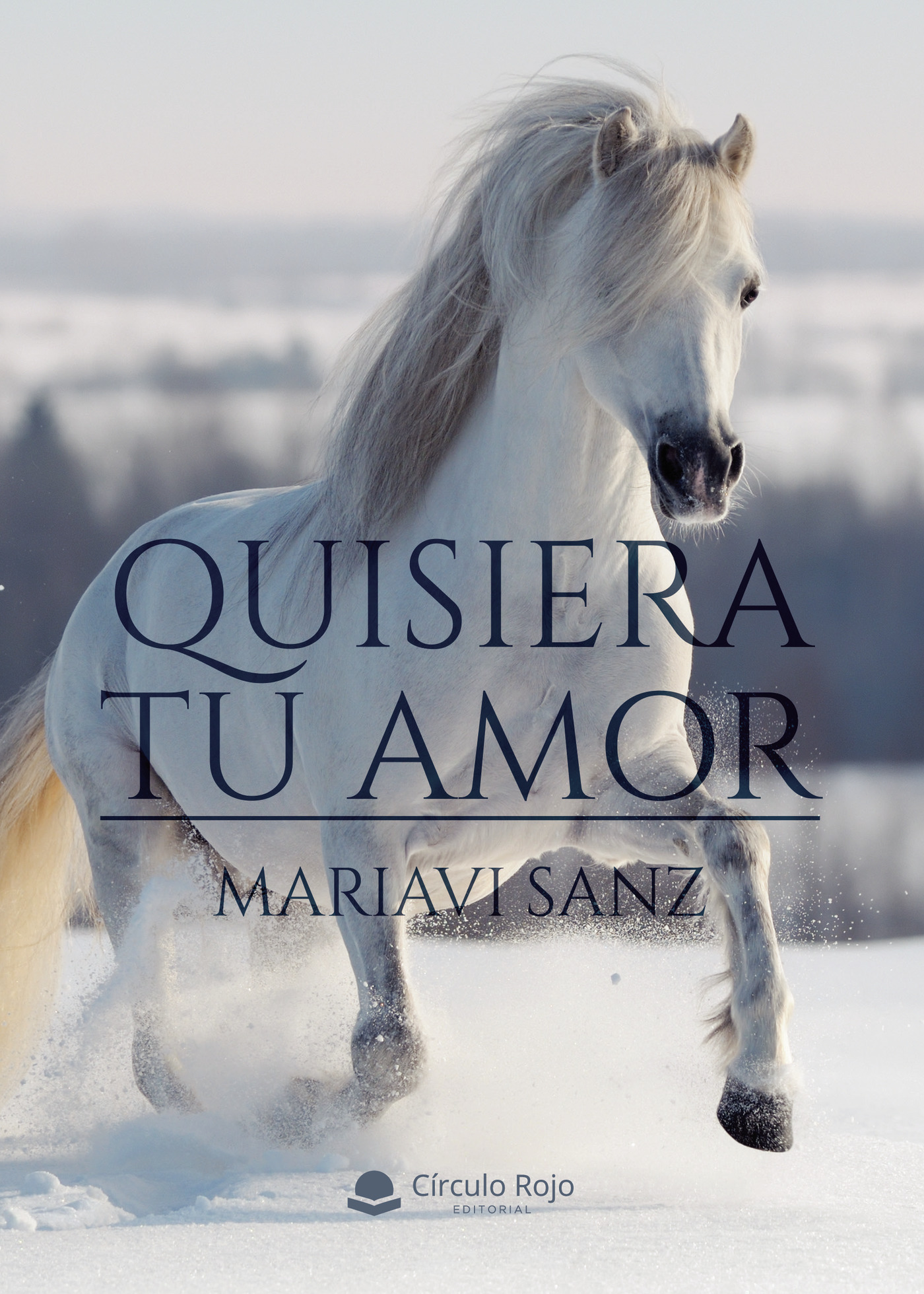 Portada de Quisiera tu amor