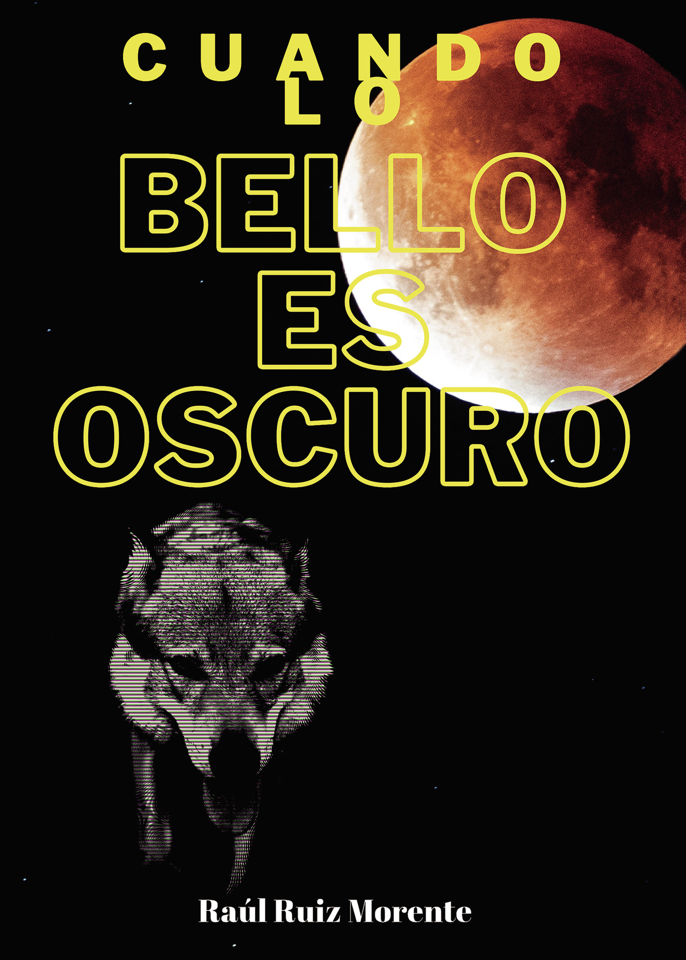 Portada de Cuando lo bello es oscuro