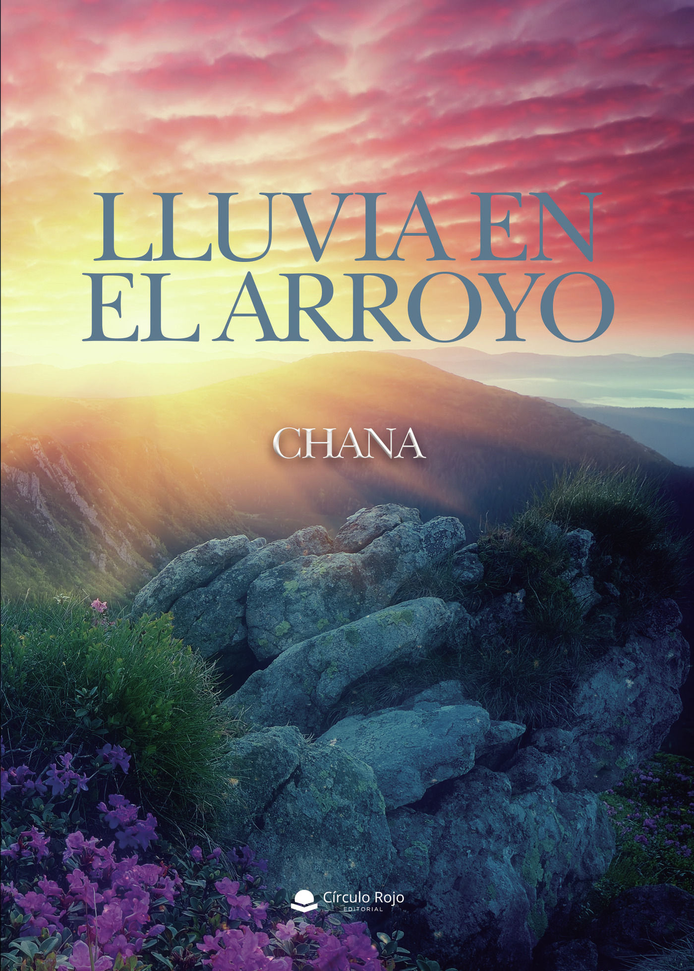 Portada de Lluvia en el arroyo