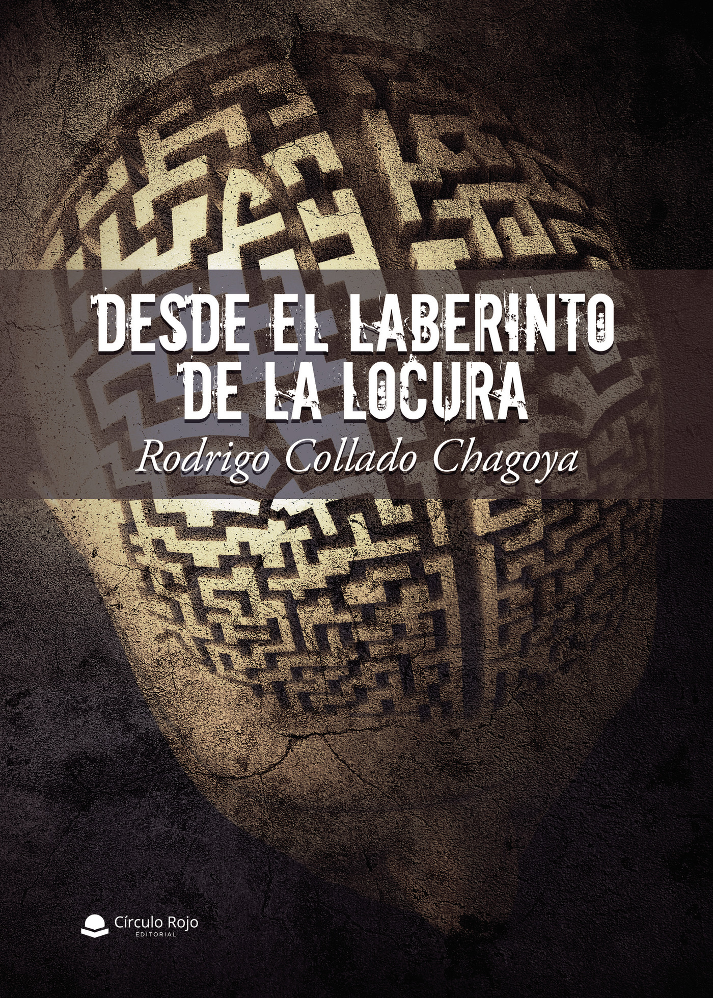 Portada de Desde el laberinto de la locura