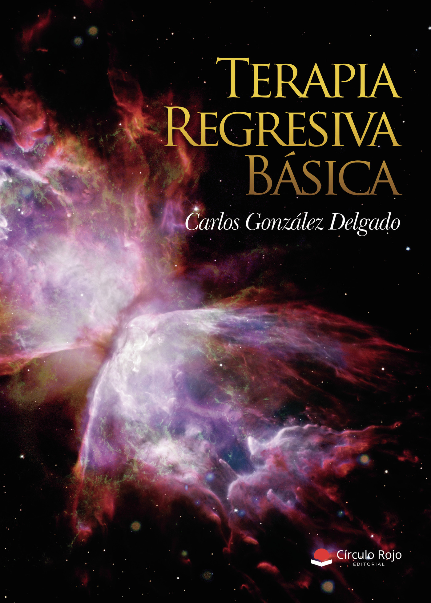 Portada de Terapia Regresiva Básica