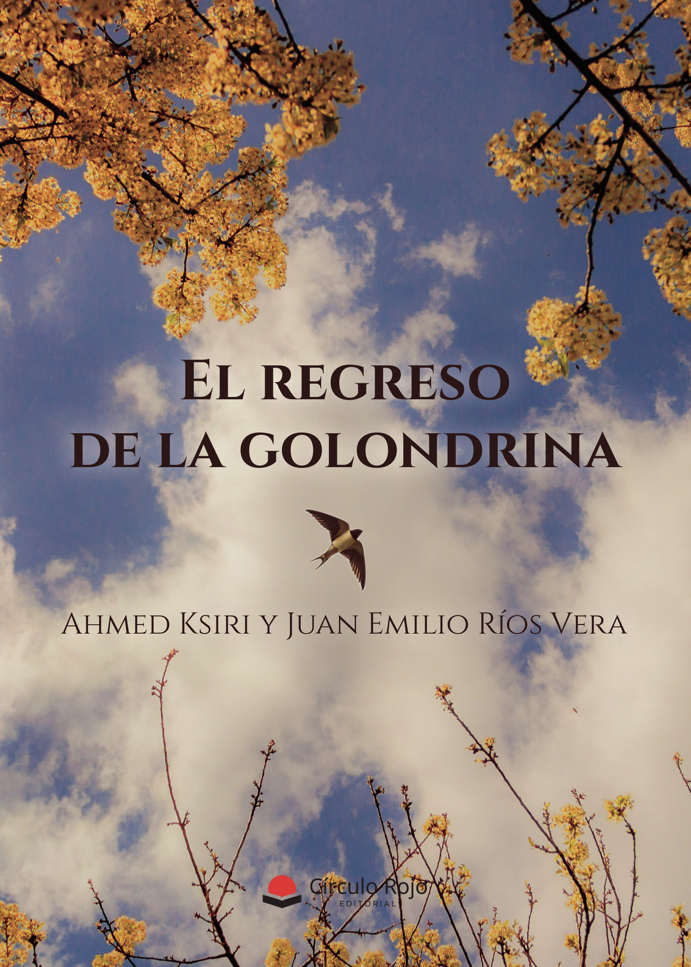 Portada de El regreso de la golondrina