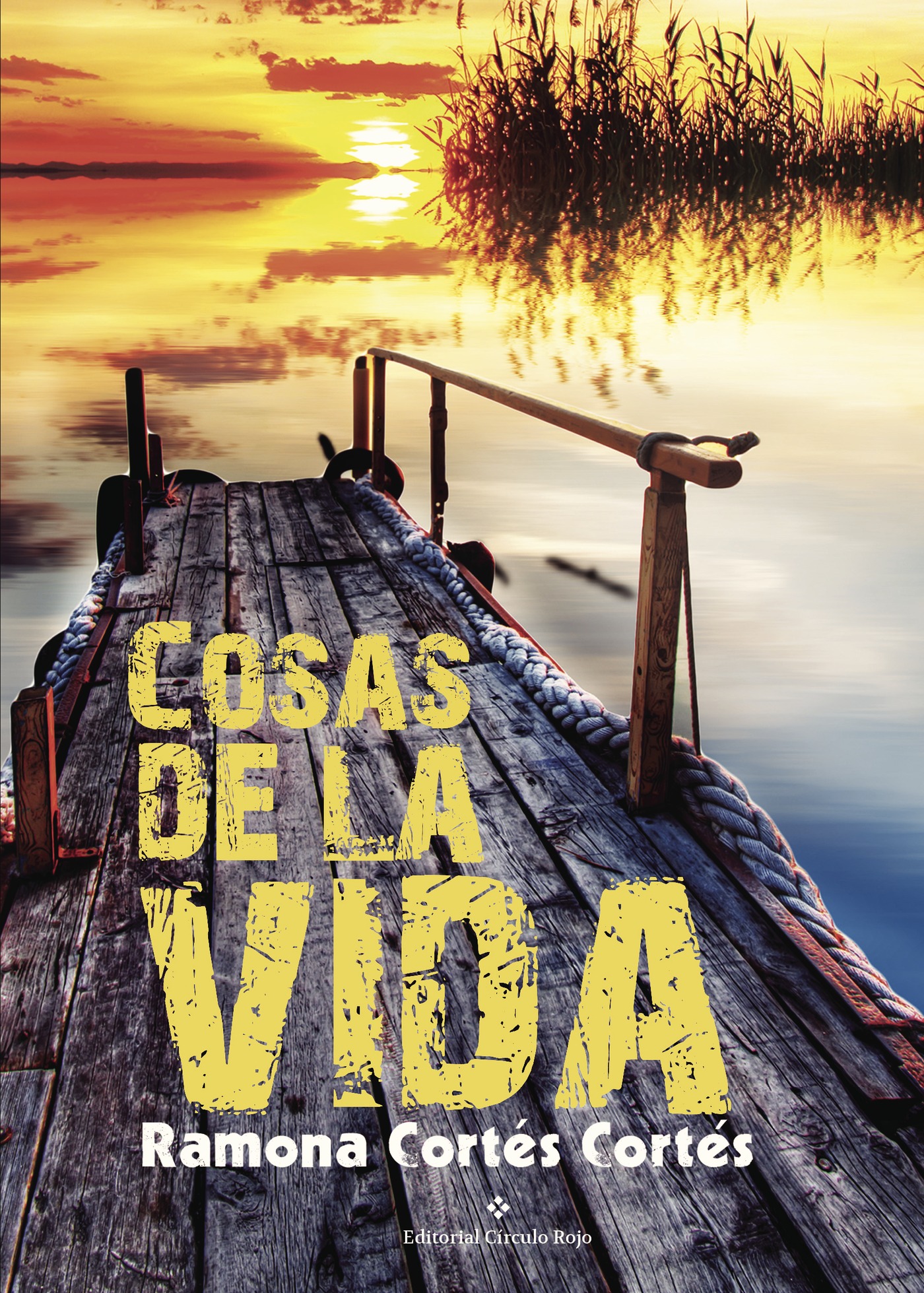 Portada de Cosas de la vida