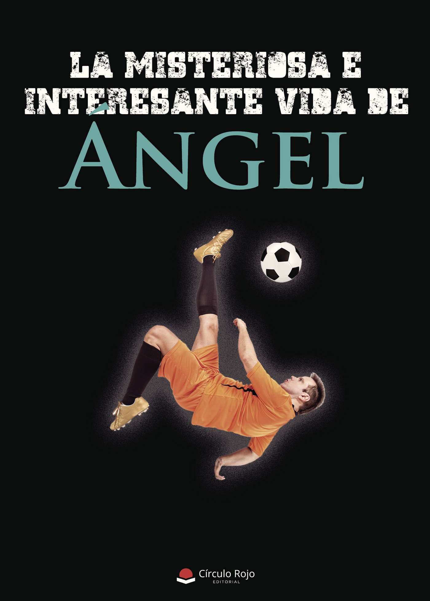 Portada de La misteriosa e interesante vida de Ángel