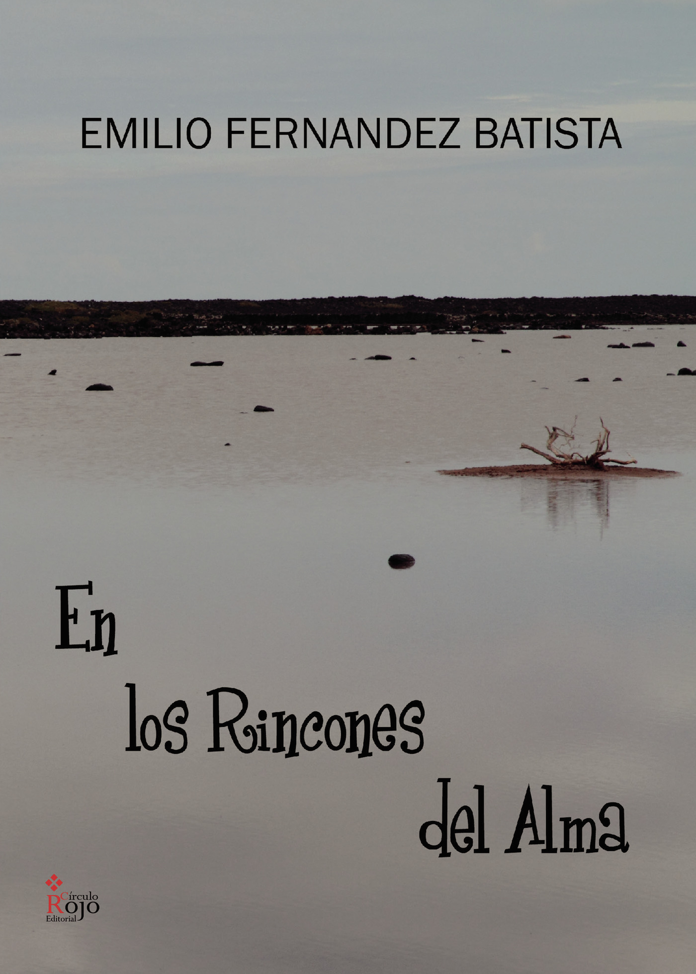 Portada de En los rincones del alma