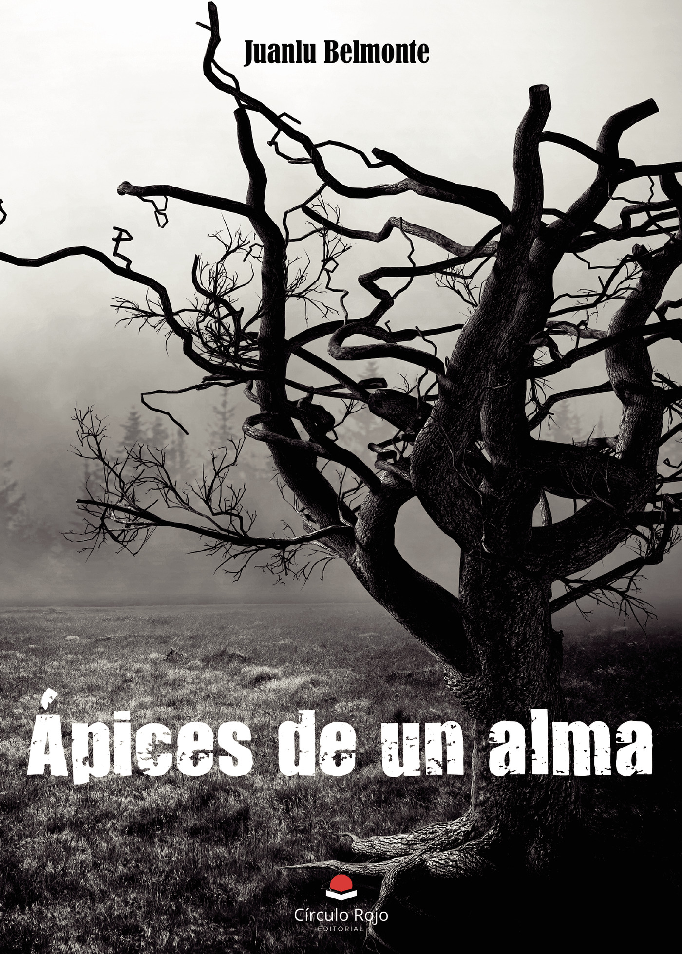 Portada de Ápices de un alma