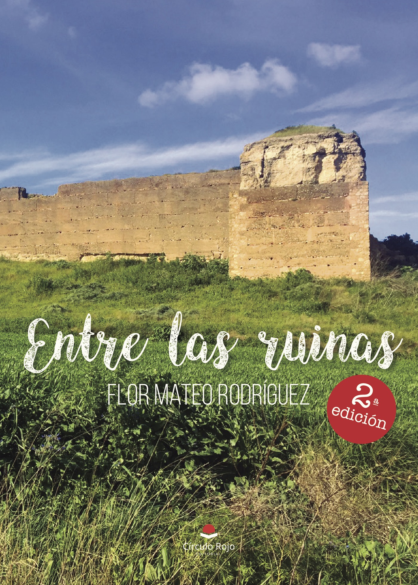 Portada de Entre las ruinas · Flor Mateo Rodríguez