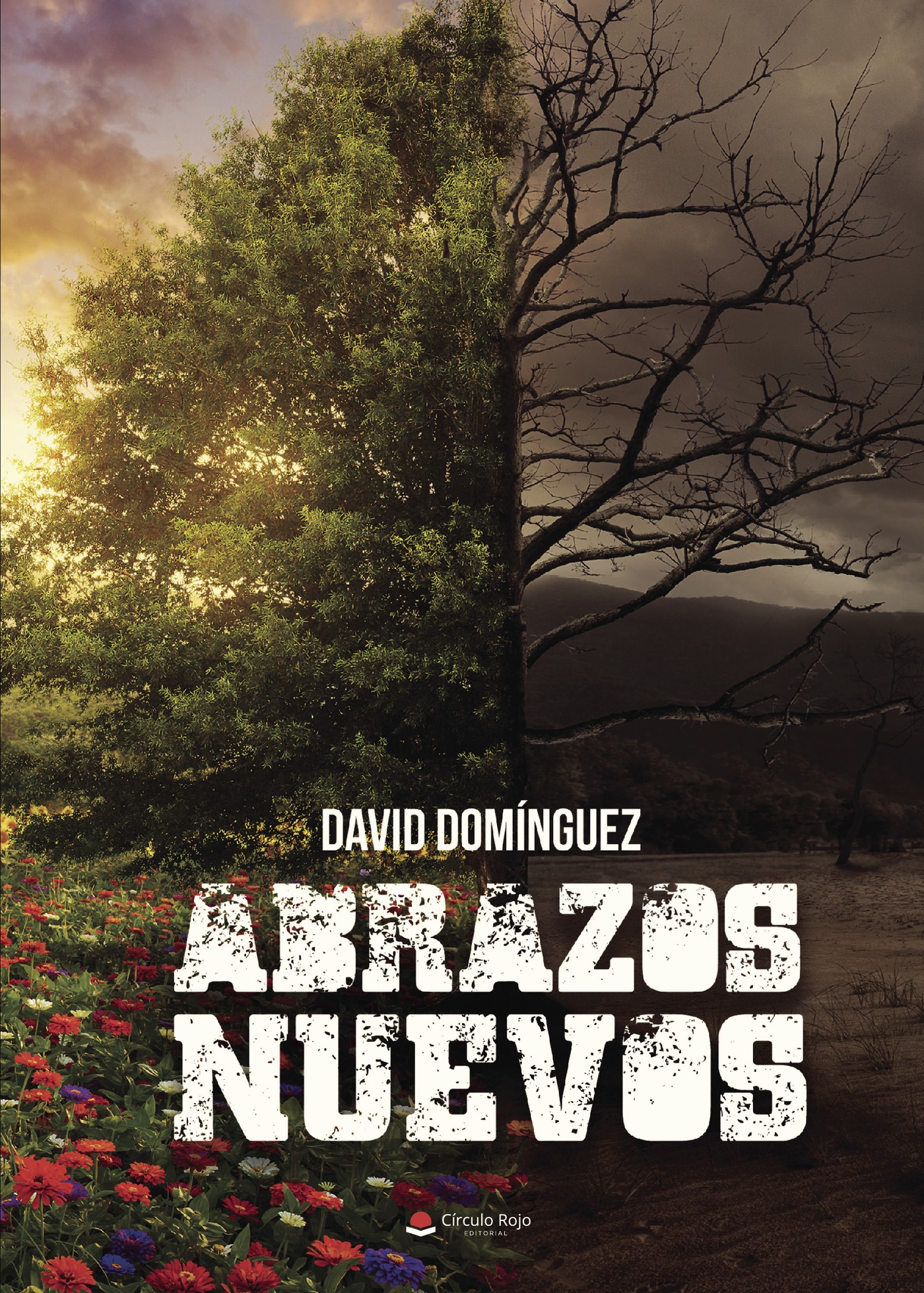 Portada de ABRAZOS NUEVOS