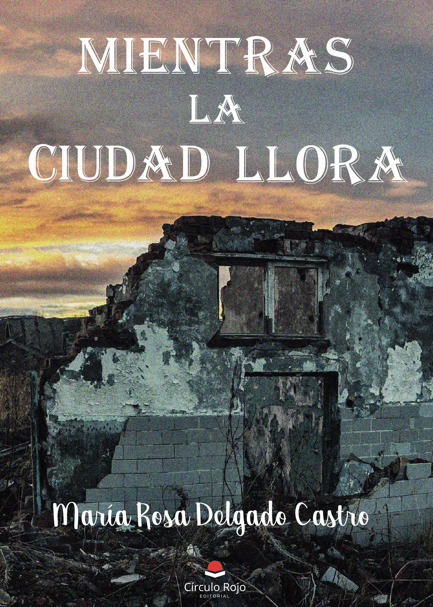 Portada de Mientras la ciudad llora