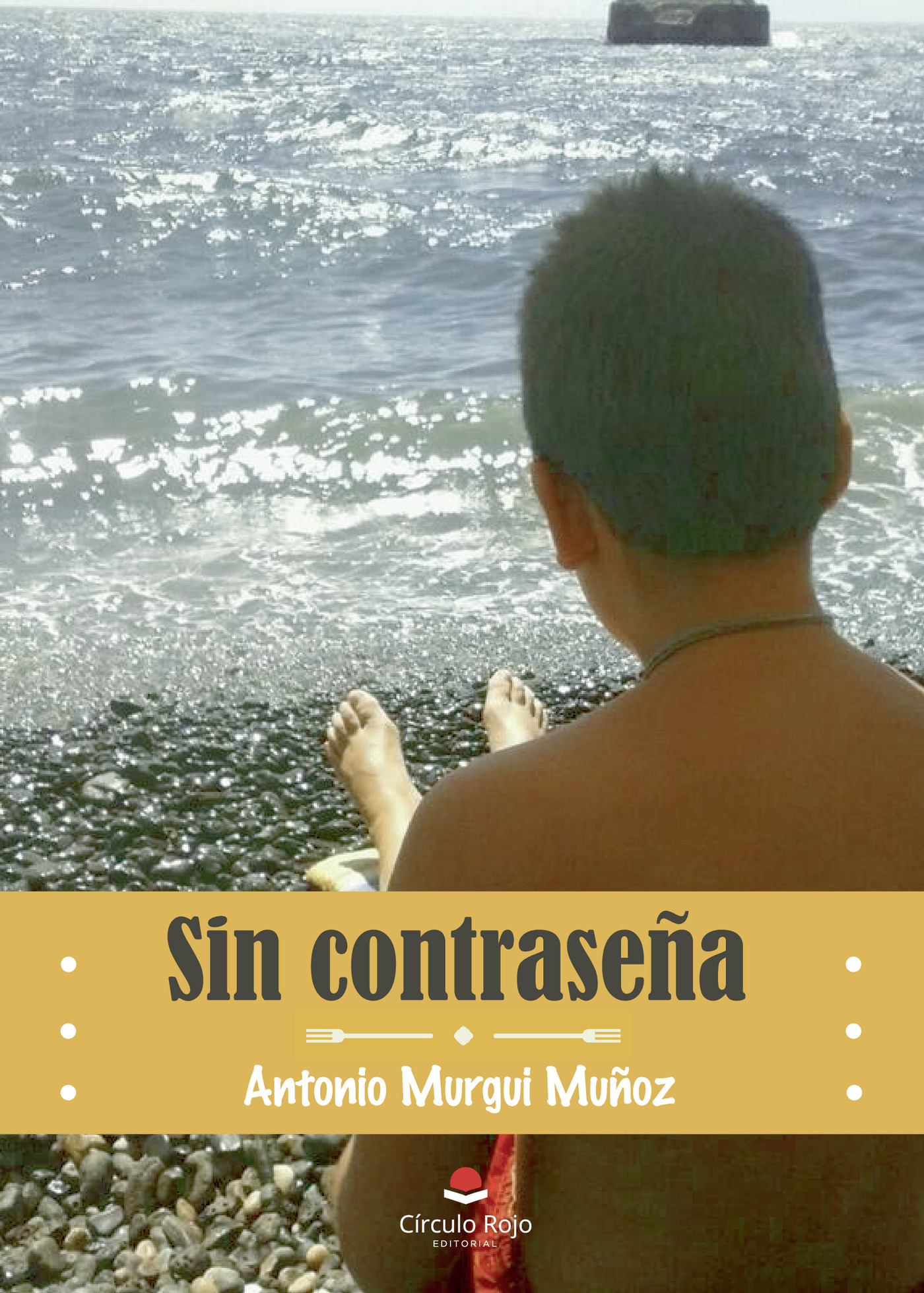 Portada de Sin contraseña
