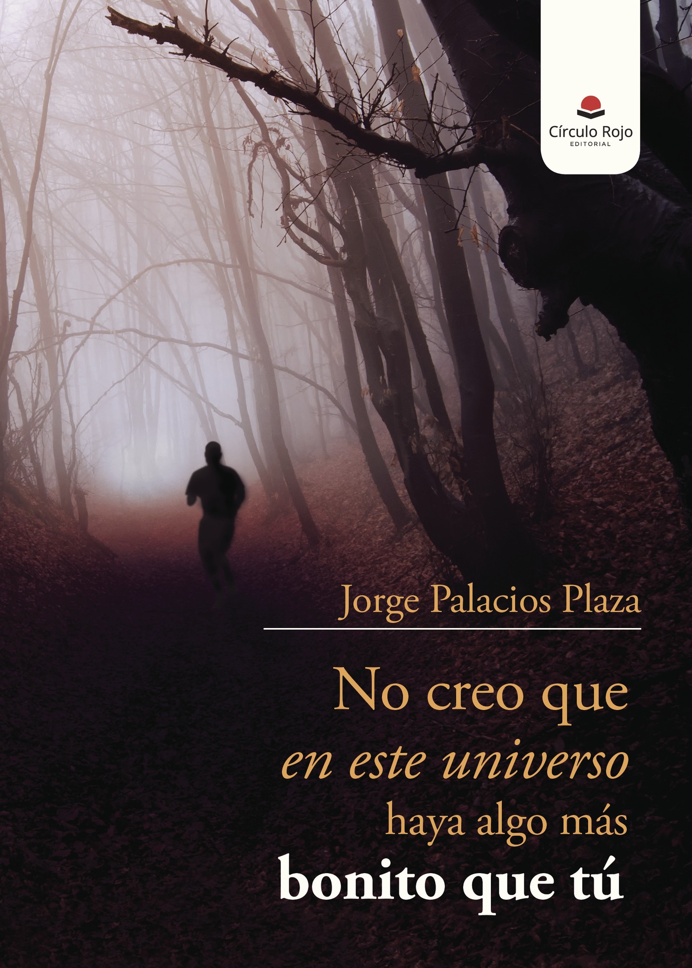 Portada de NO CREO QUE EN ESTE UNIVERSO HAYA ALGO MÁS BONITO QUE TÚ