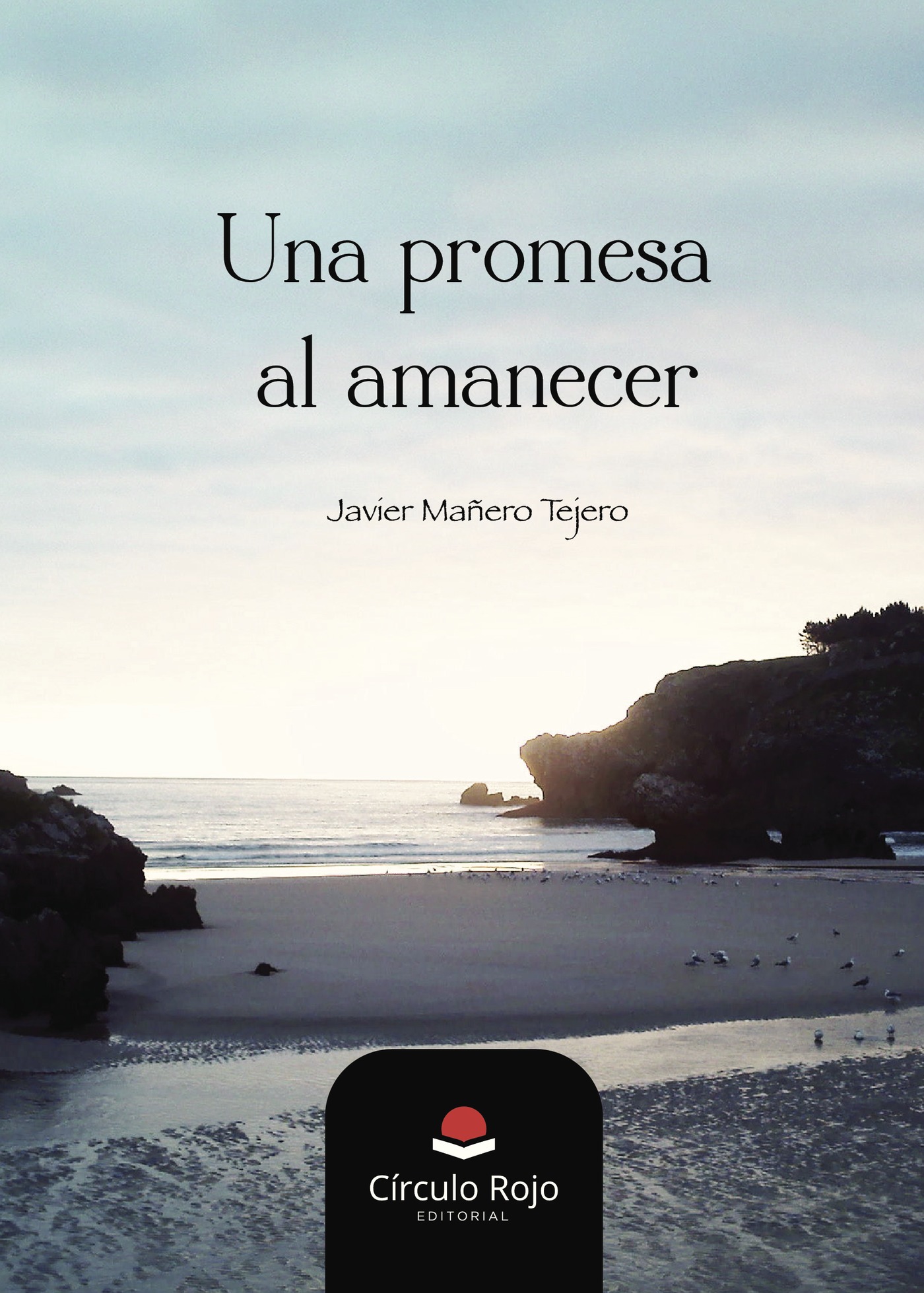 Portada de Una promesa al amanecer