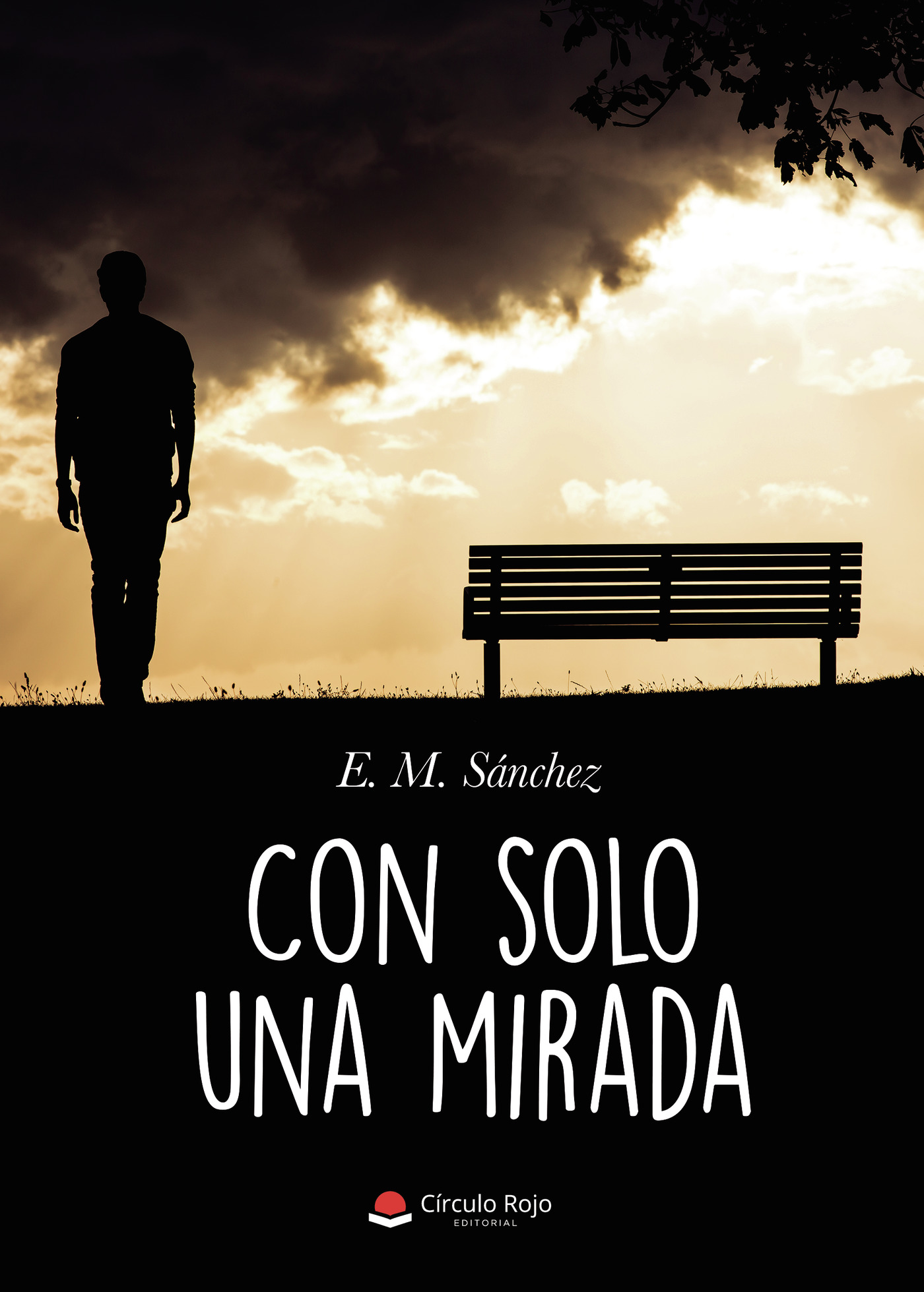 Portada de Con solo una mirada