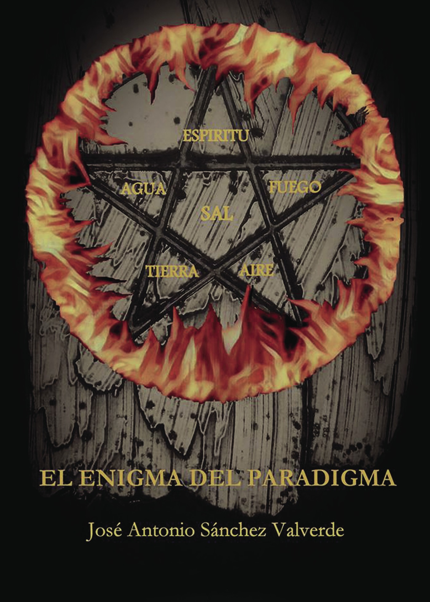 Portada de El enigma del paradigma