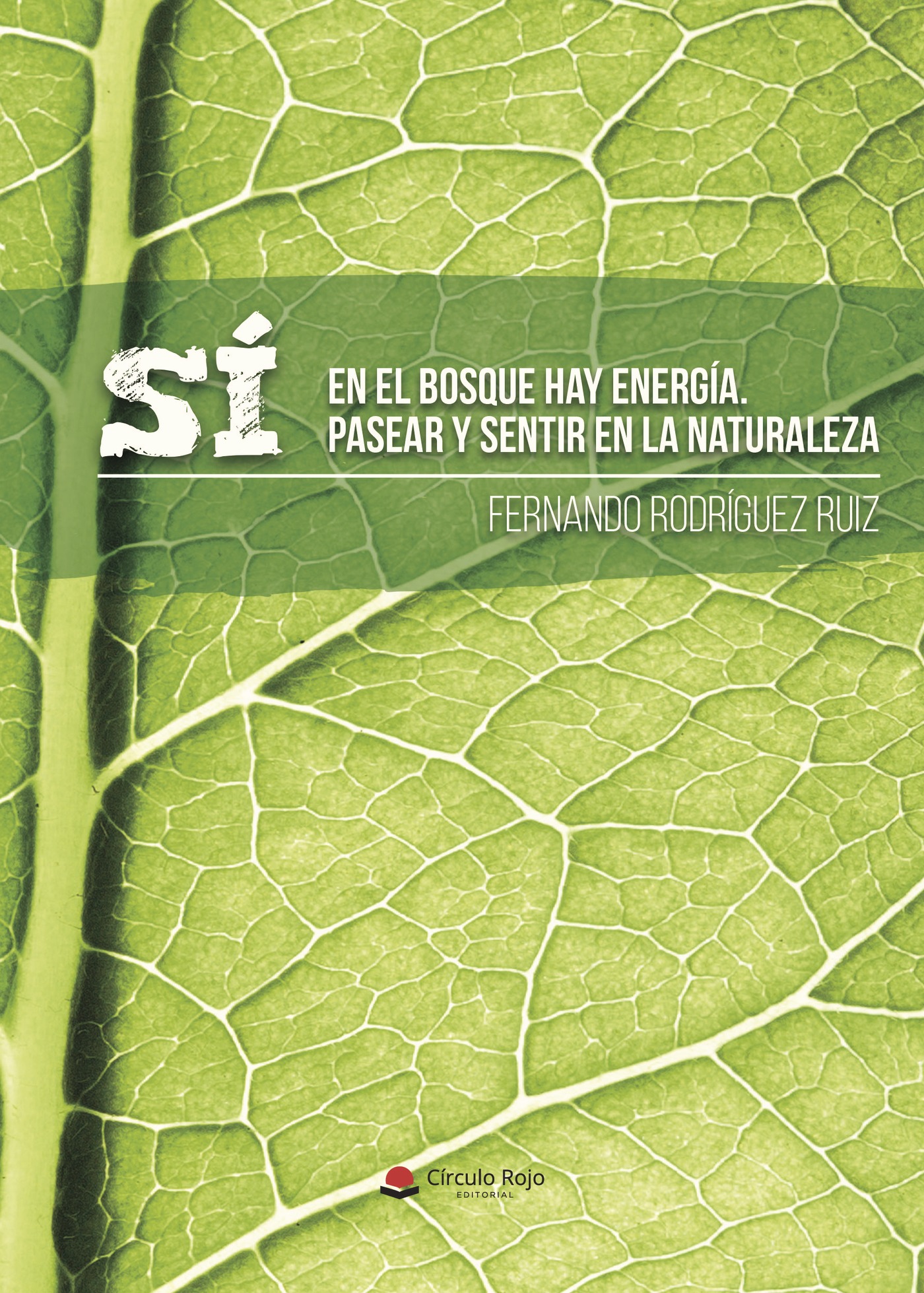 Portada de Sí, en el bosque hay energía. Pasear y sentir en la naturaleza