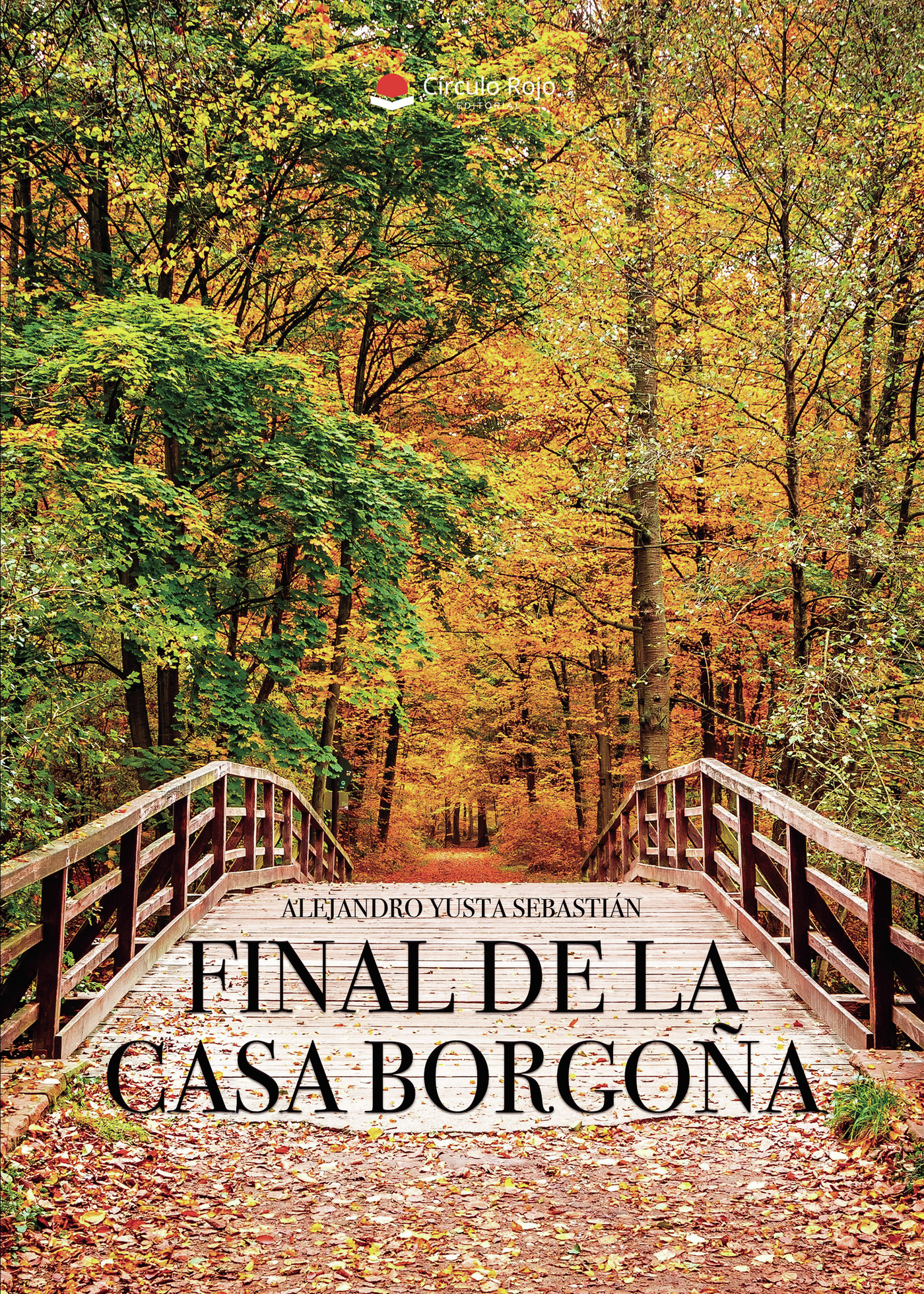 Portada de FINAL DE LA CASA BORGOÑA