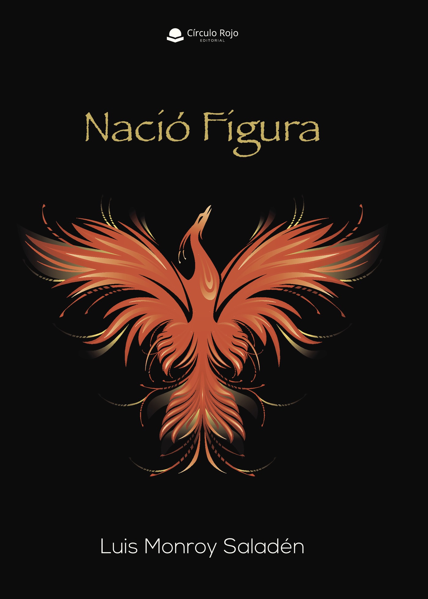 Portada de NACIÓ FIGURA · Luis Monroy Saladen