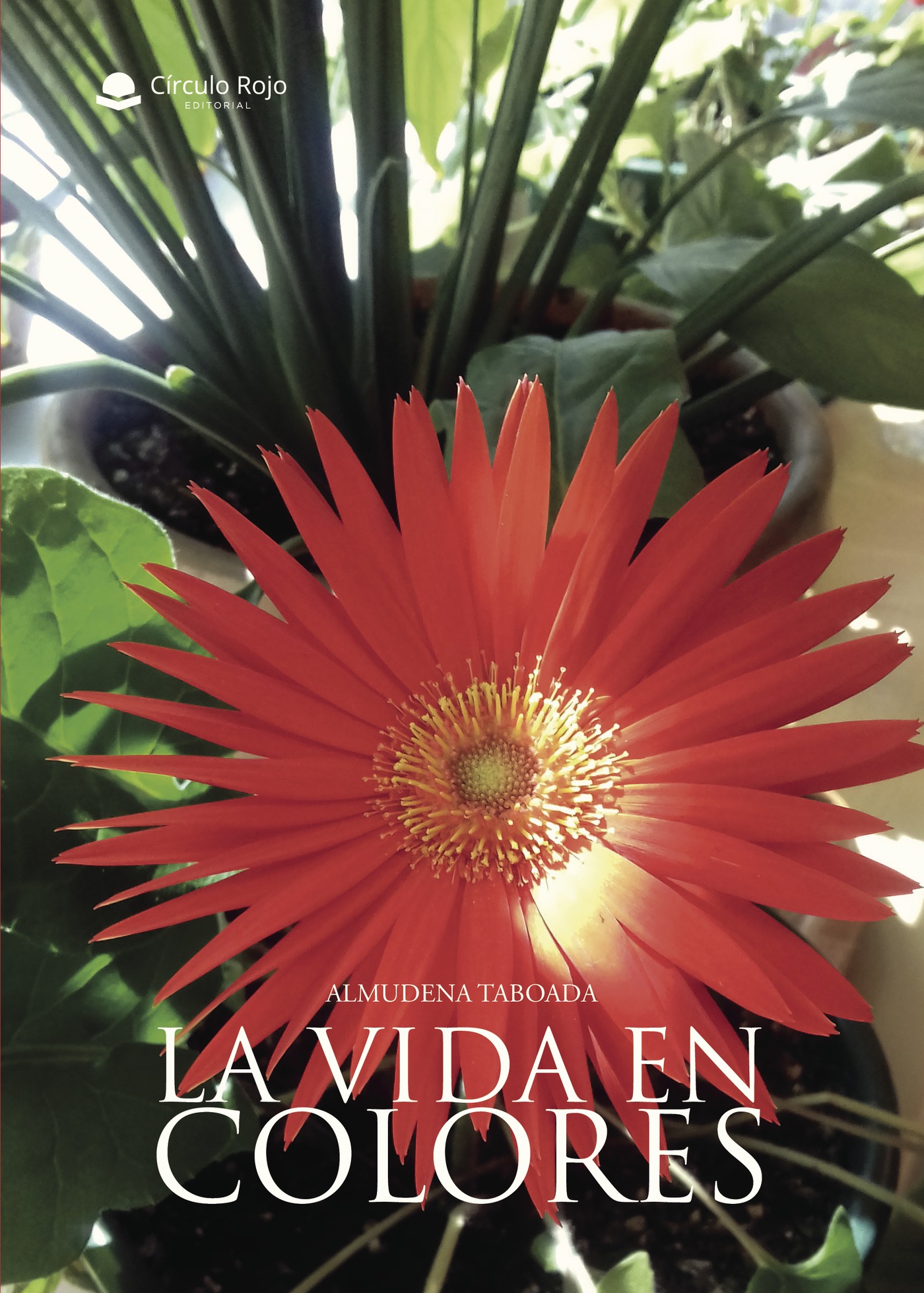 Portada de La Vida En Colores