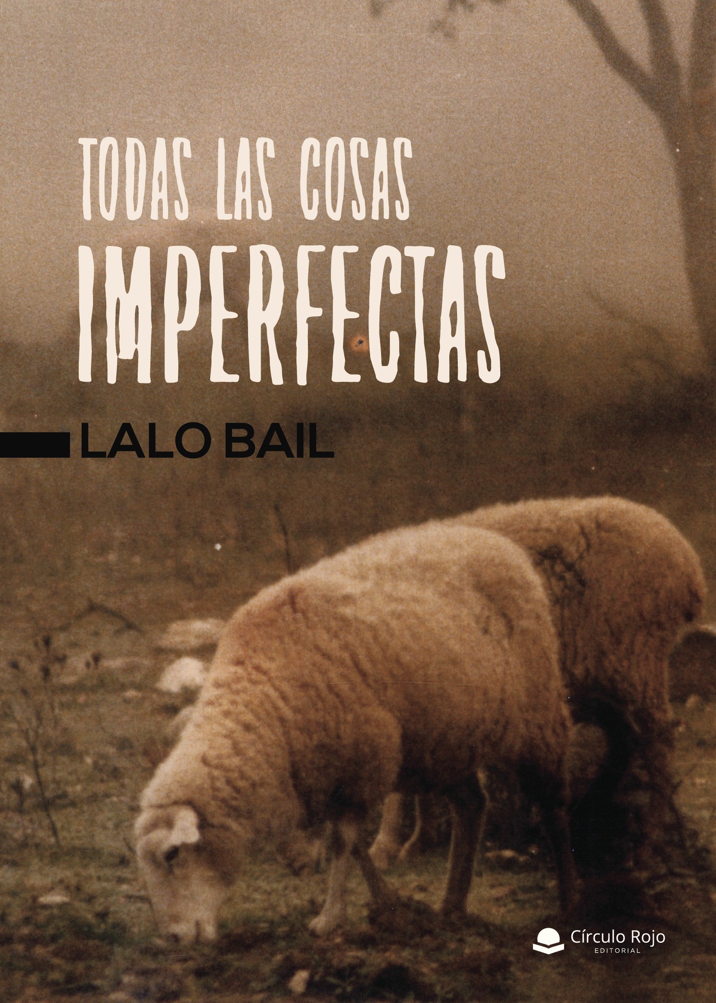 Portada de Todas Las Cosas Imperfectas