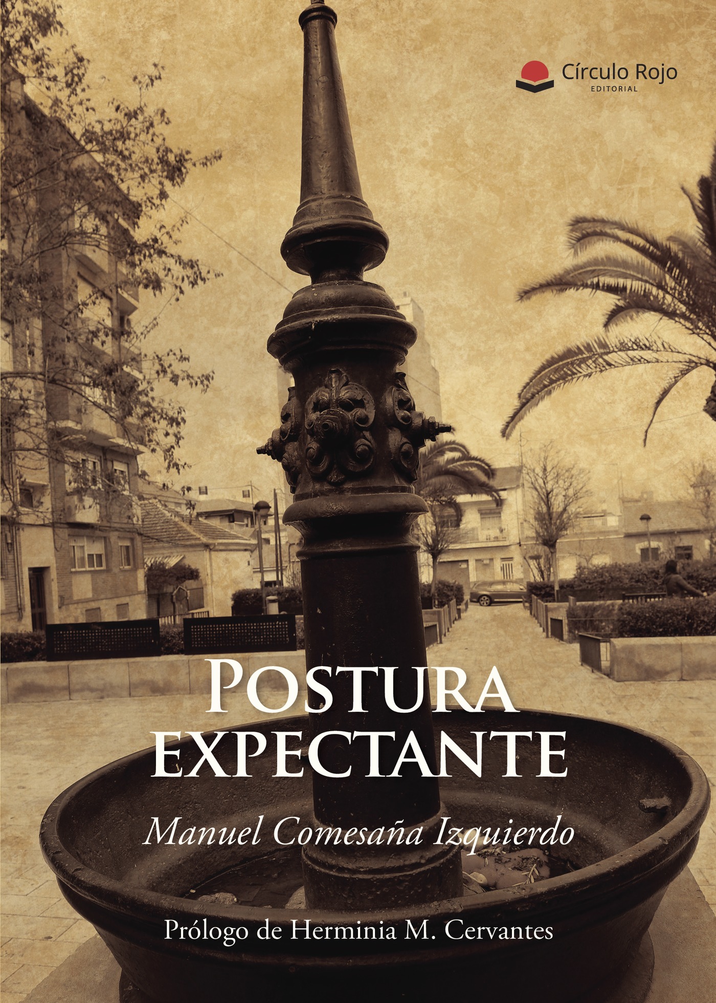 Portada de Postura expectante