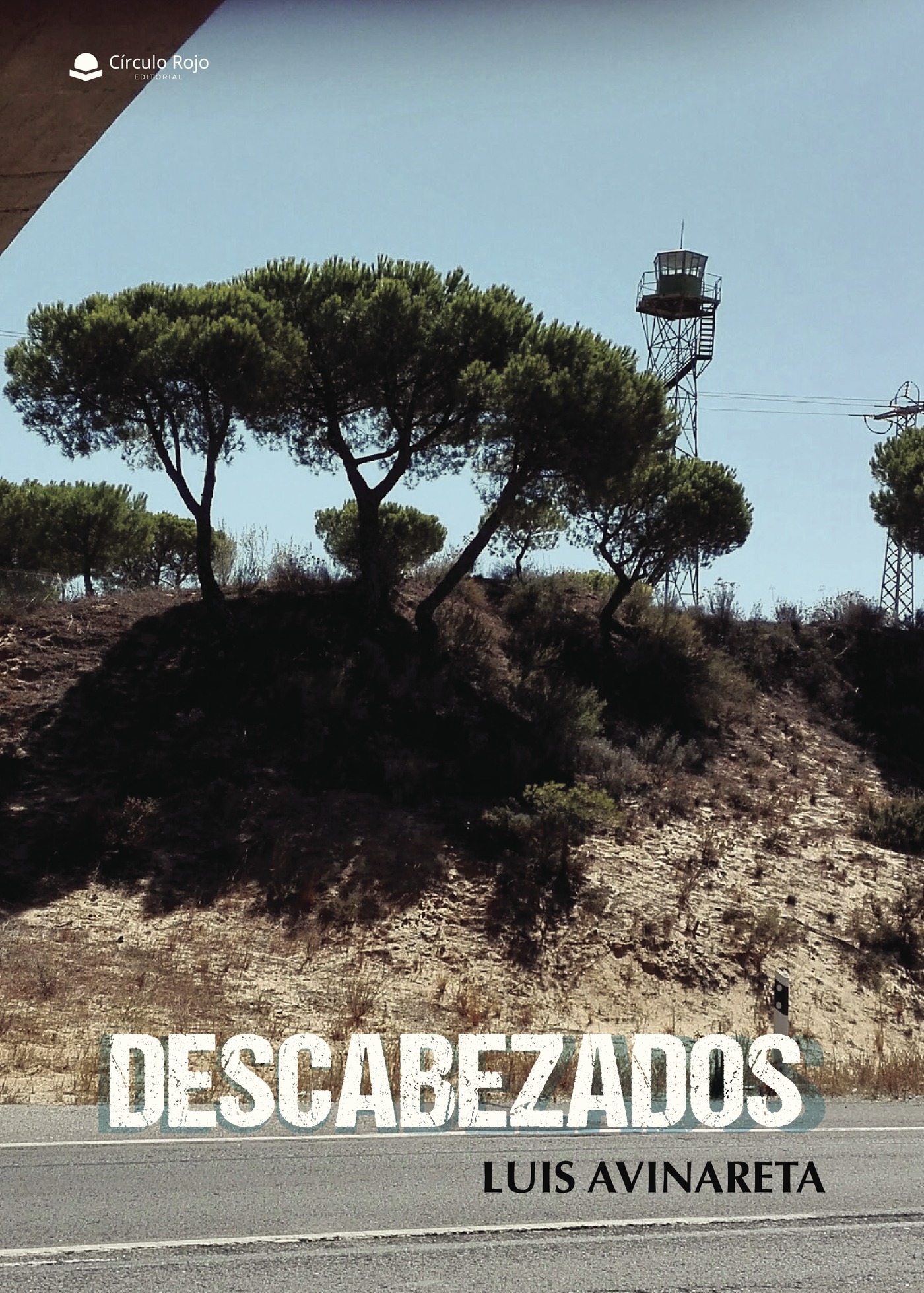 Portada de DESCABEZADOS