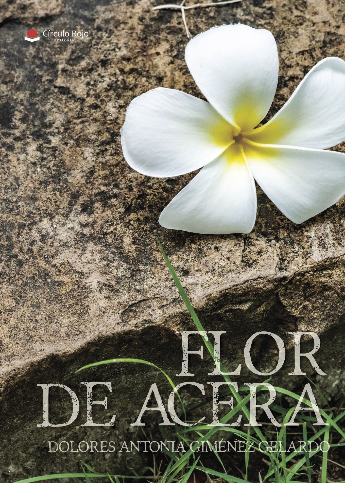 Portada de Flor de Acera