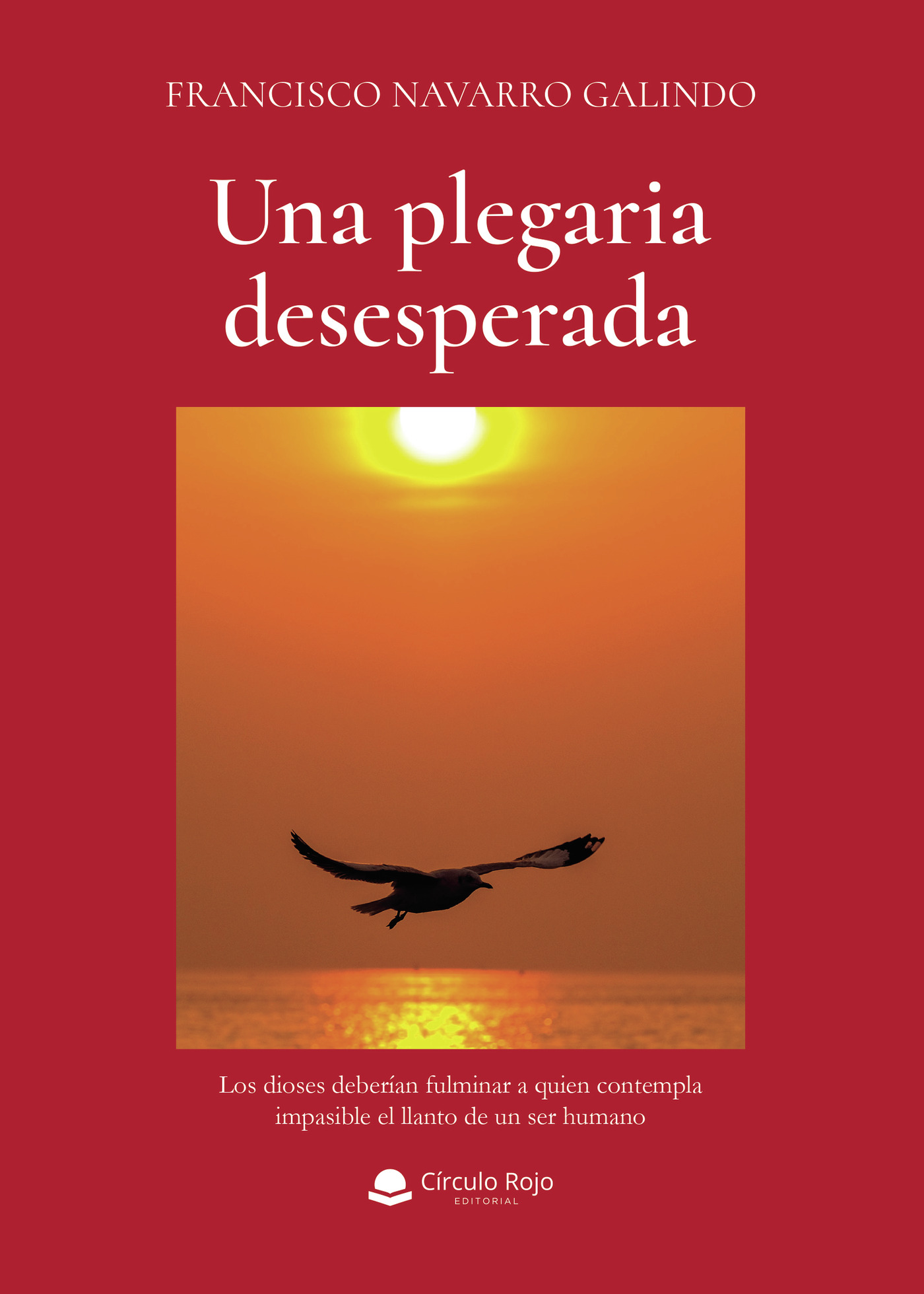 Portada de UNA PLEGARIA DESESPERADA · Francisco Navarro Galindo