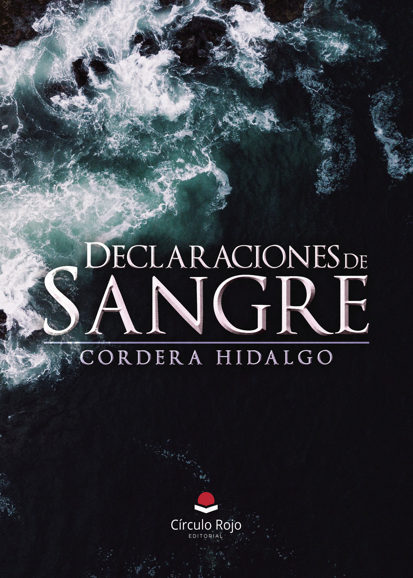 Portada de DECLARACIONES DE SANGRE